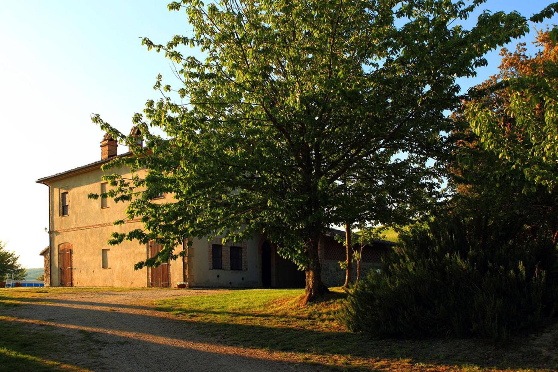 Photo 23