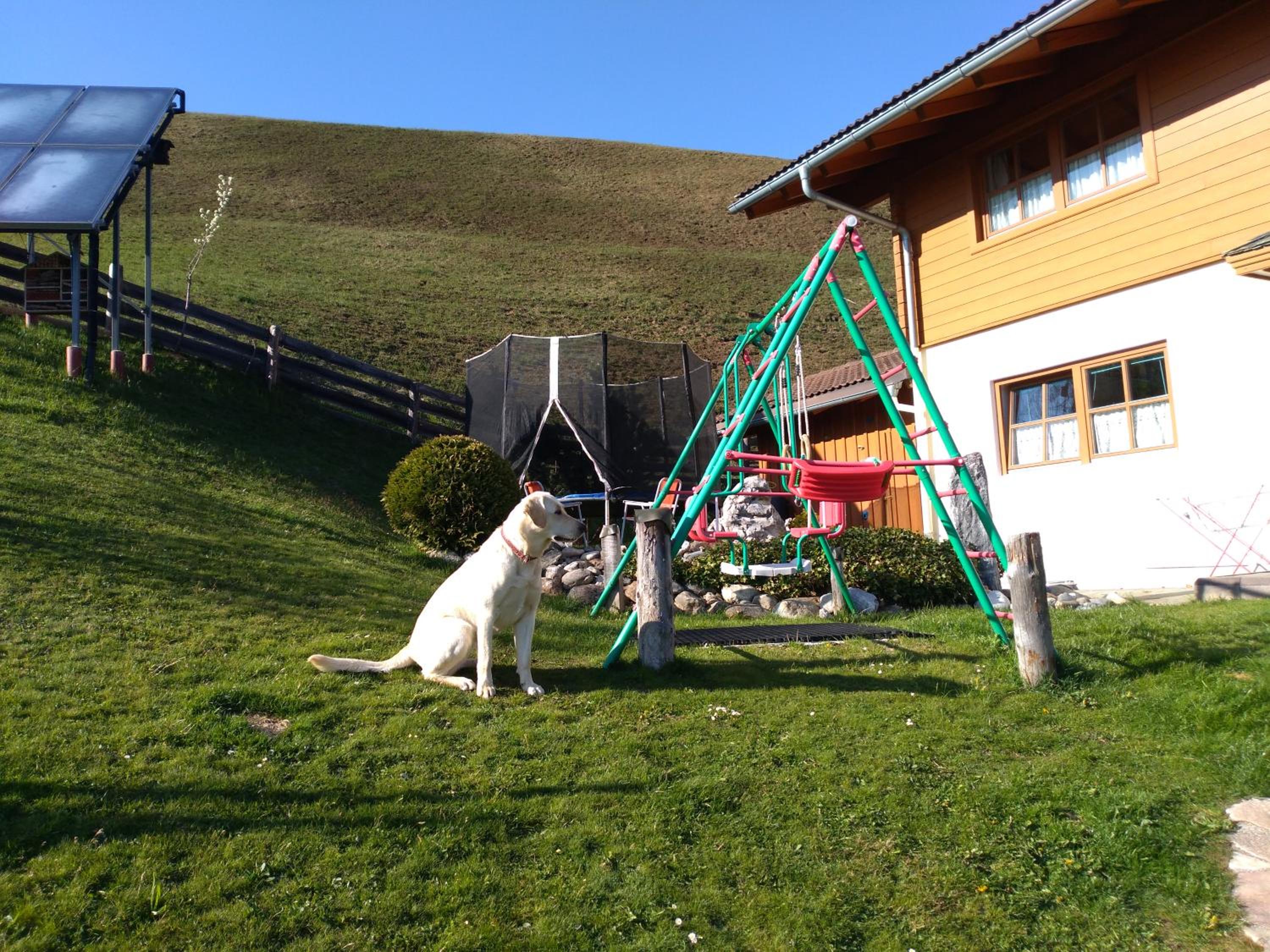 Haus Bucher view 4