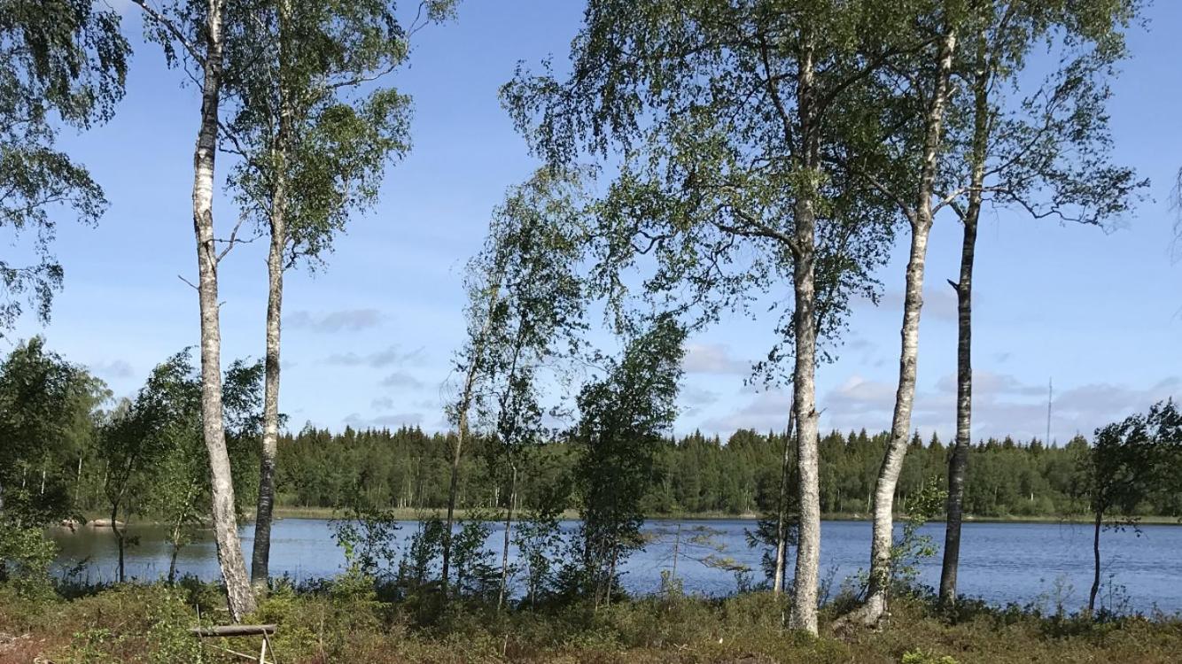 Photo 17