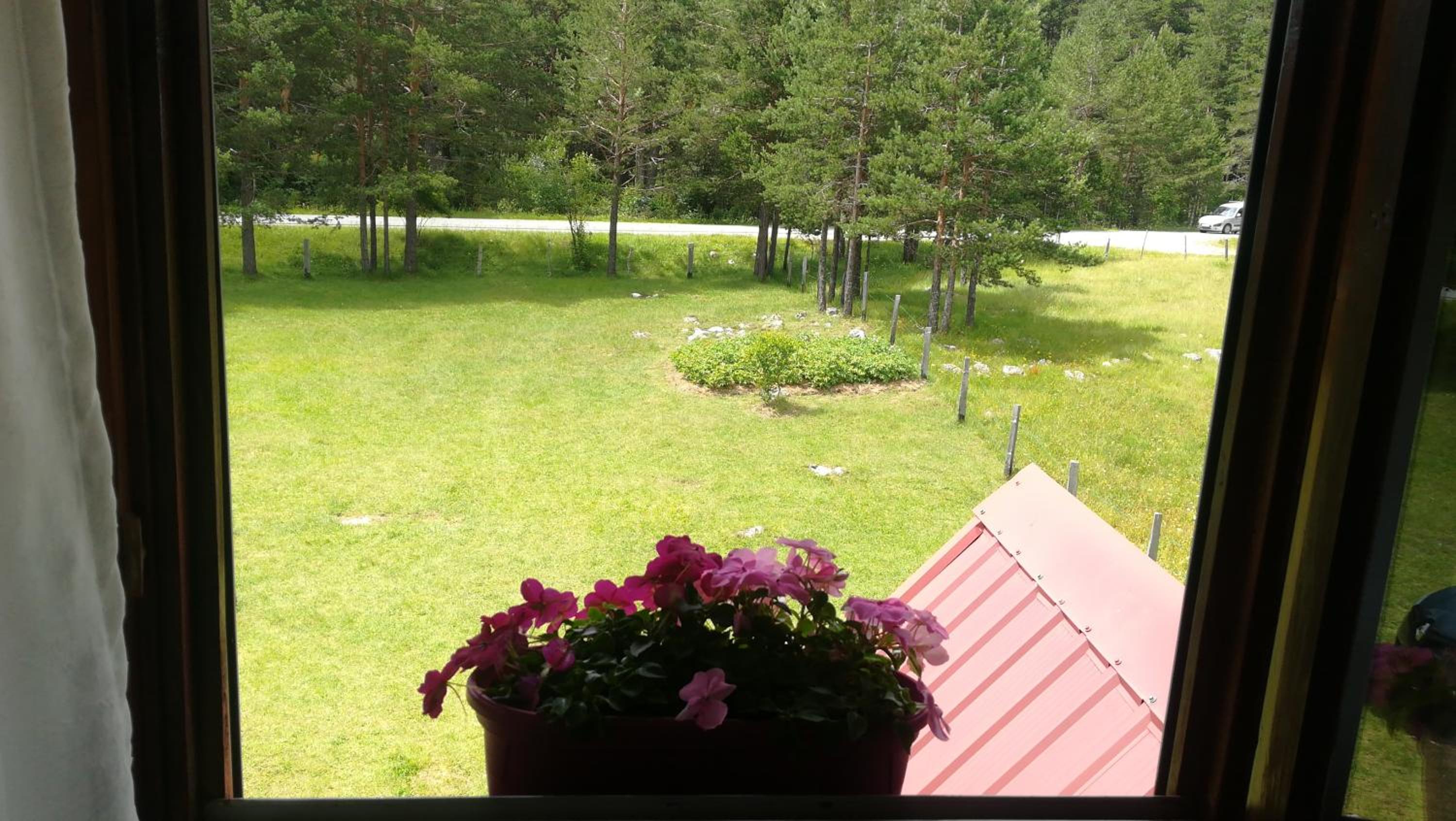 Photo 28