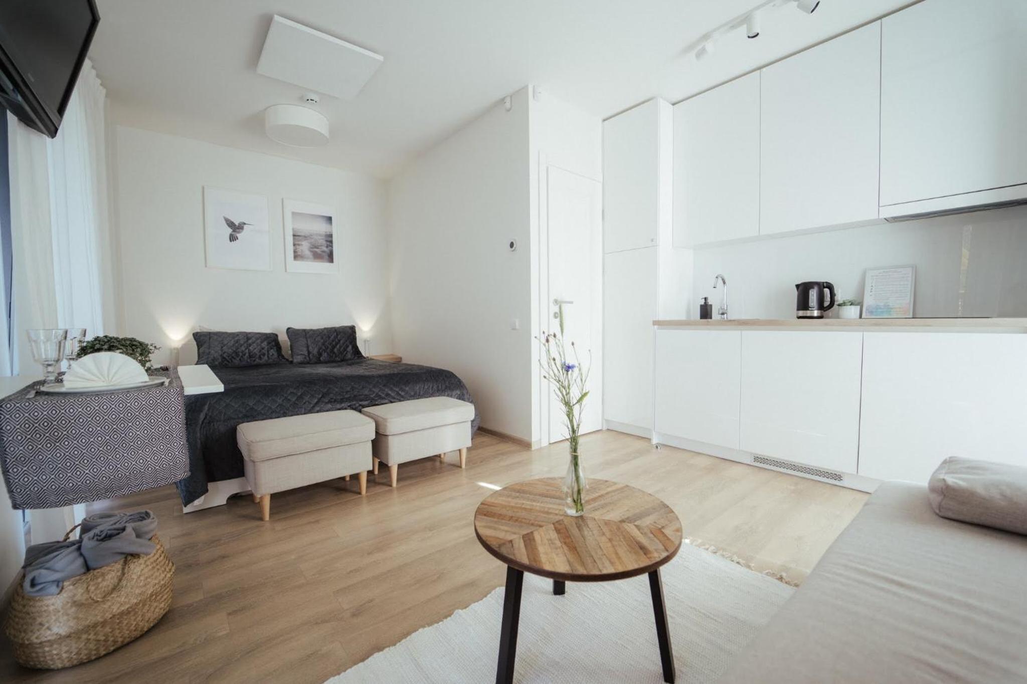 No.1 Apartment in Palanga, Vaivorykštės Apartment view 4