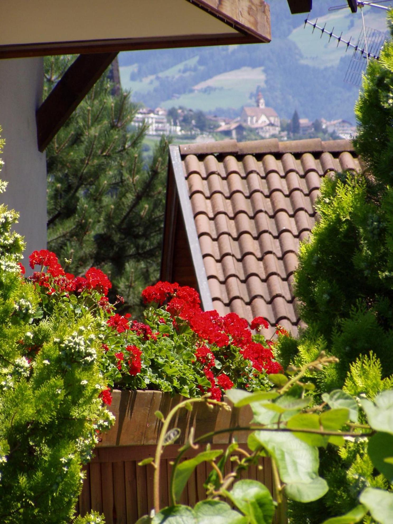 Grieserhof Algund view 5