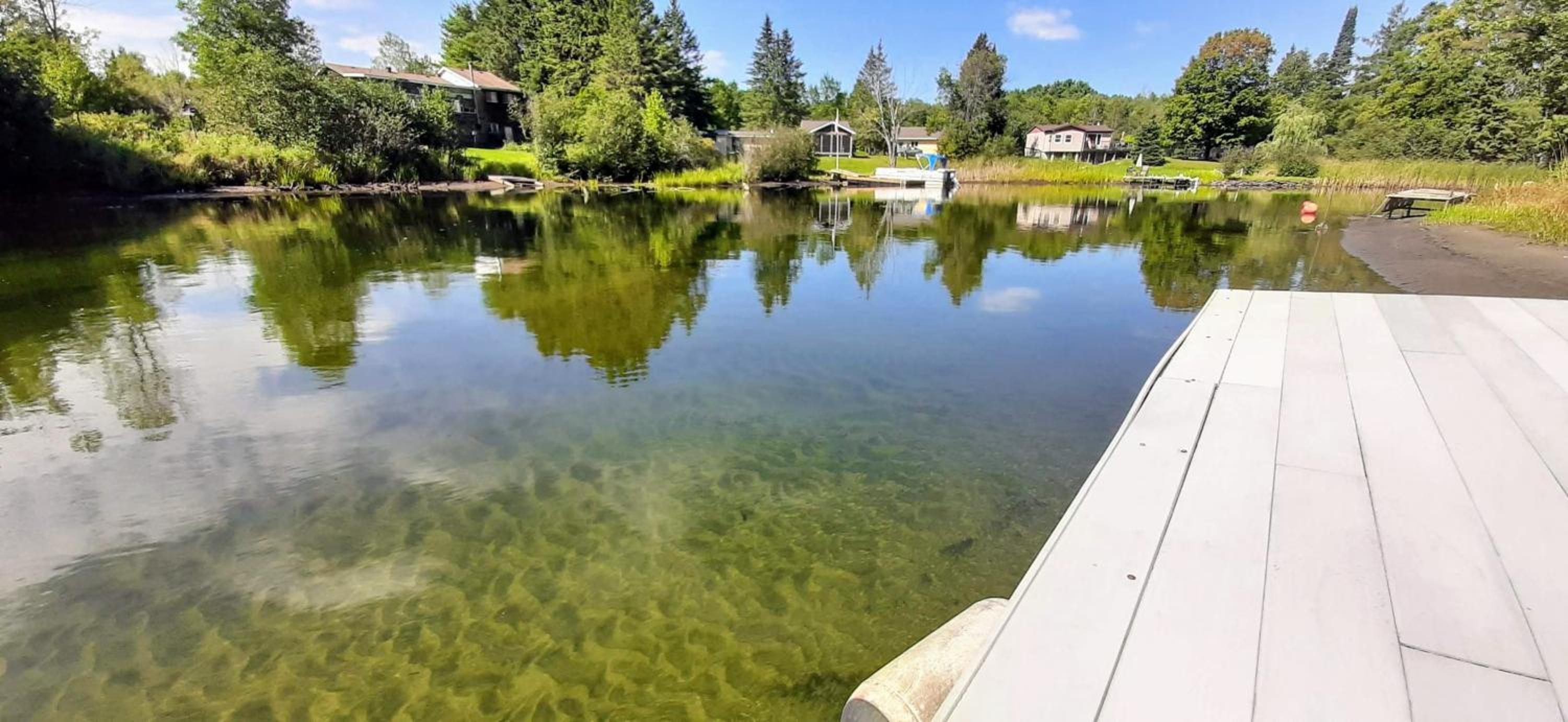 Beautiful 3 Bdrm + Bunkie Waterfront Cottage Near Gull Lake