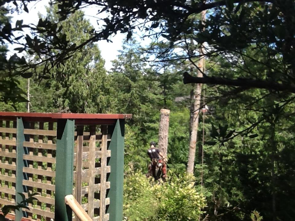 Sooke Vacations - Wisteria Honeymoon Cottage - Property Image 4