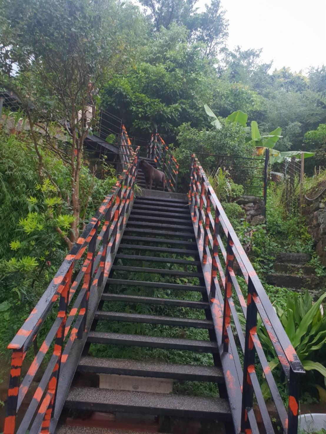 Photo 19