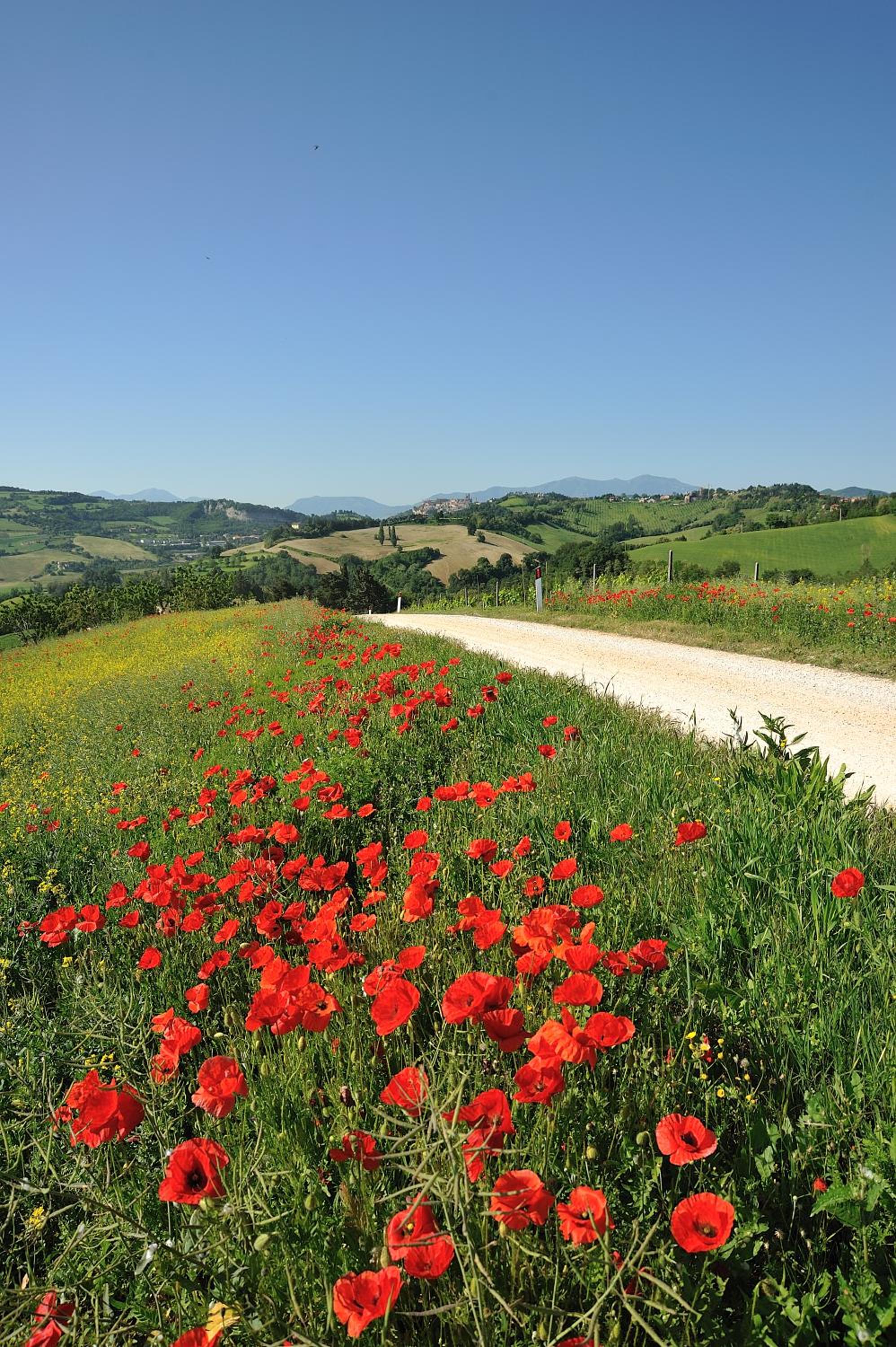 Country House Ca' Vernaccia