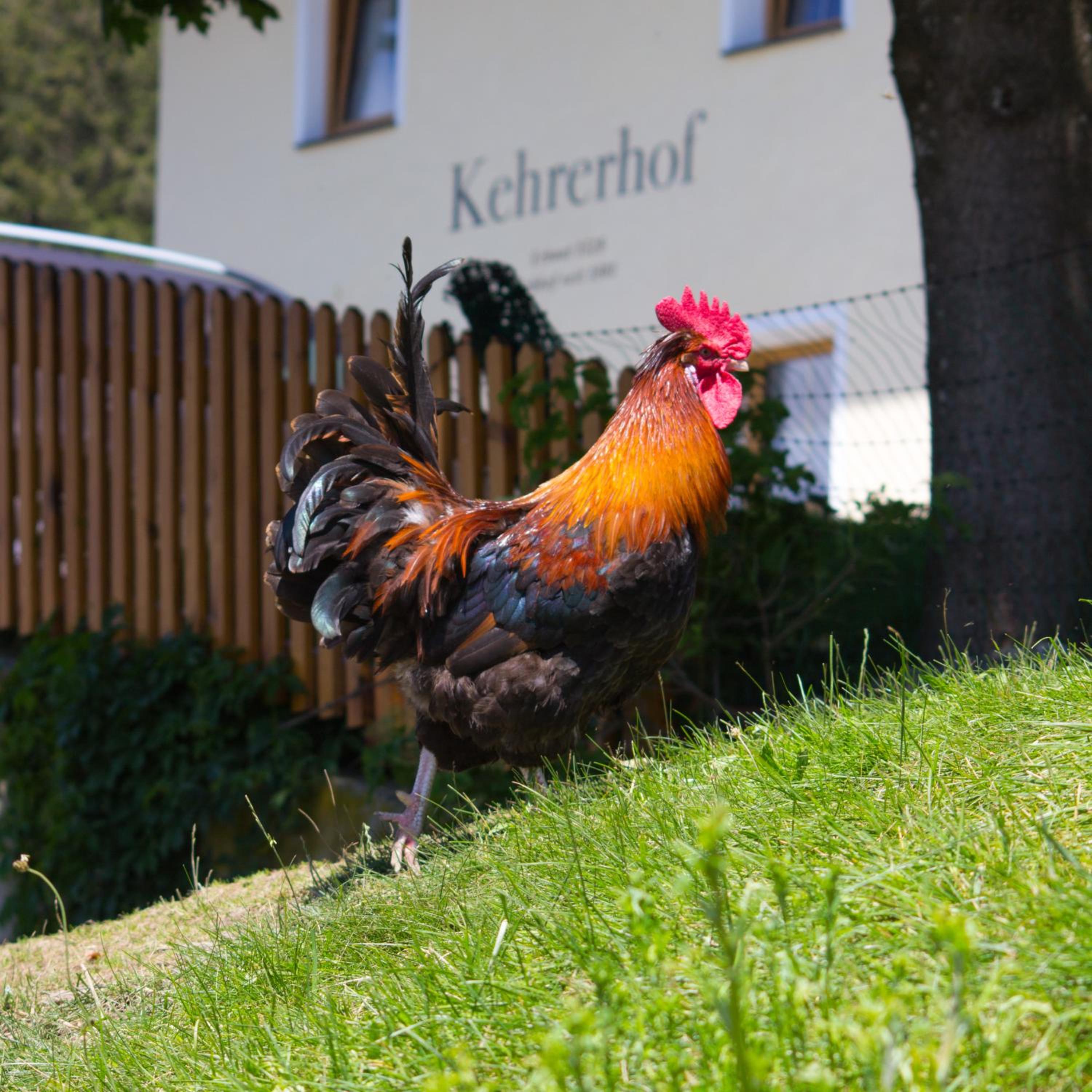Kehrerhof