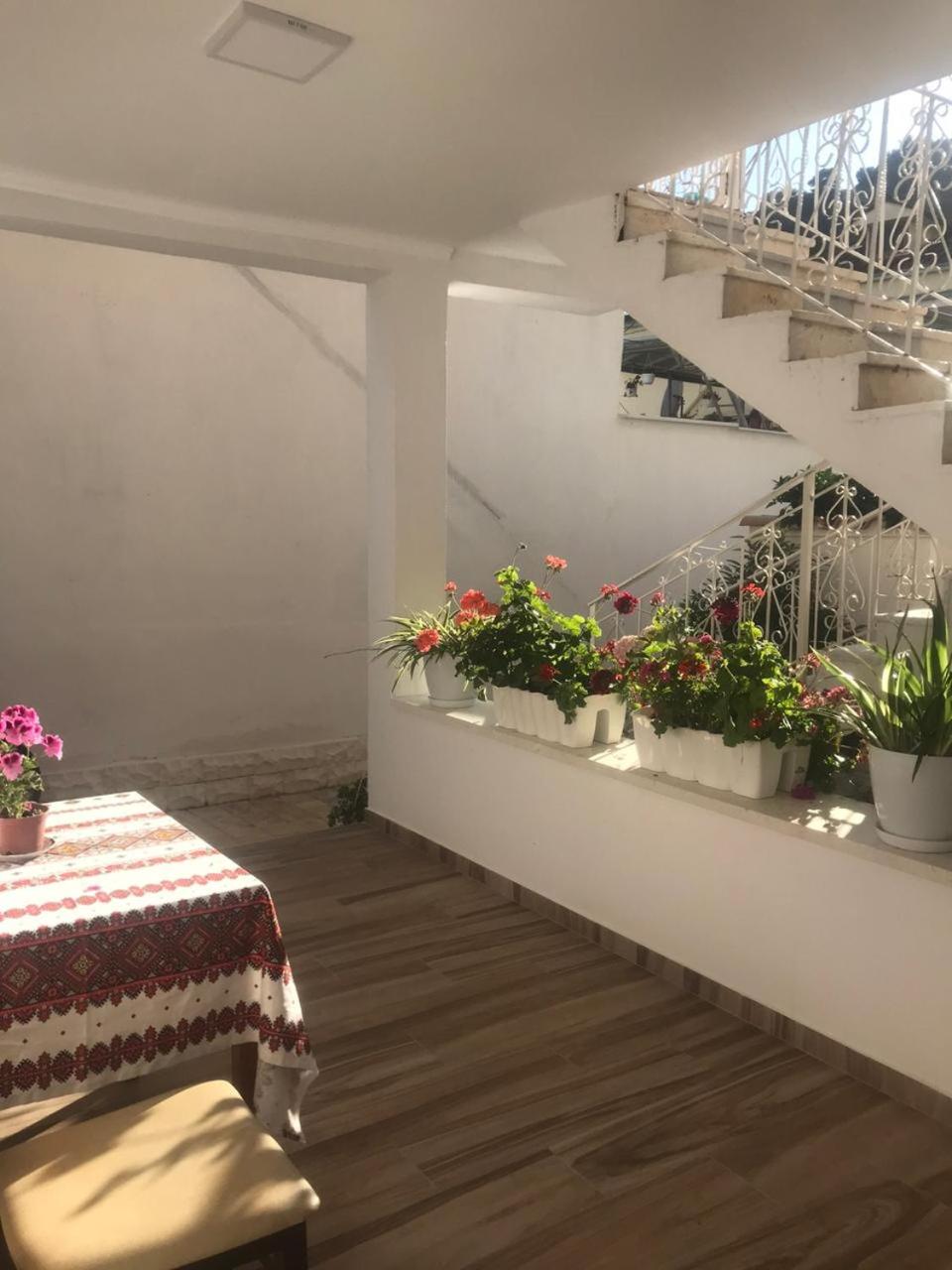 Apartment Koka
