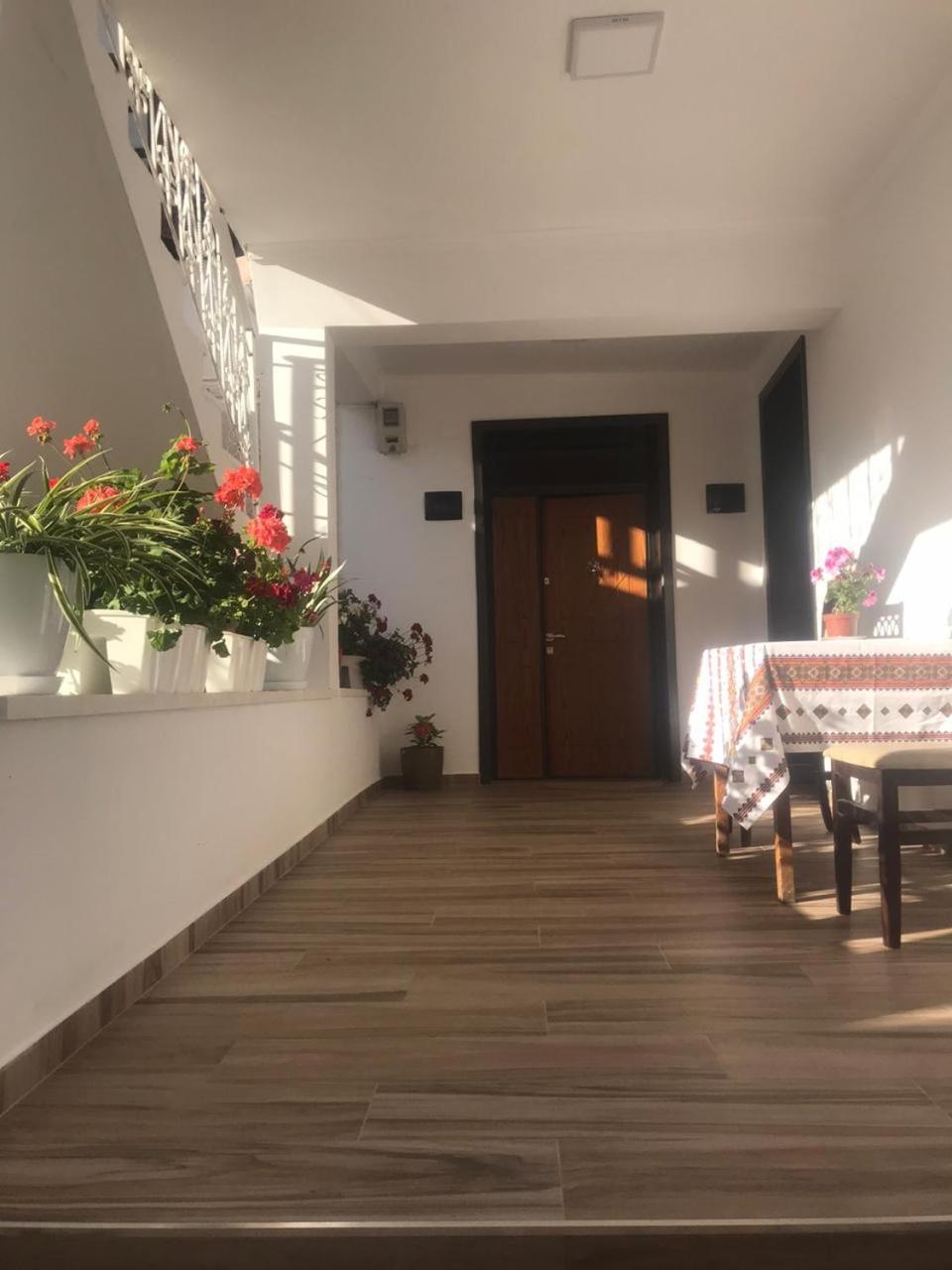 Apartment Koka