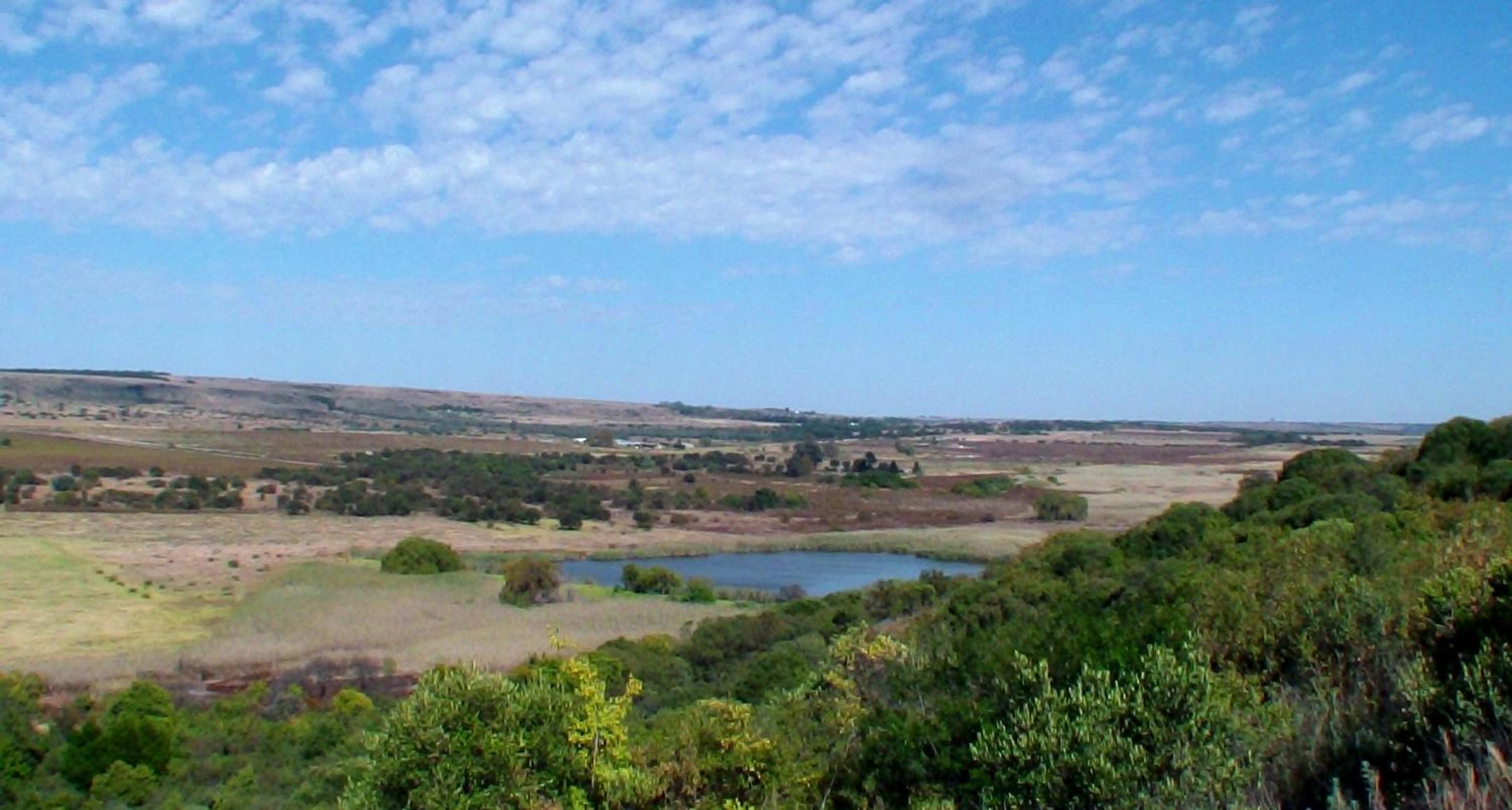 Photo 45