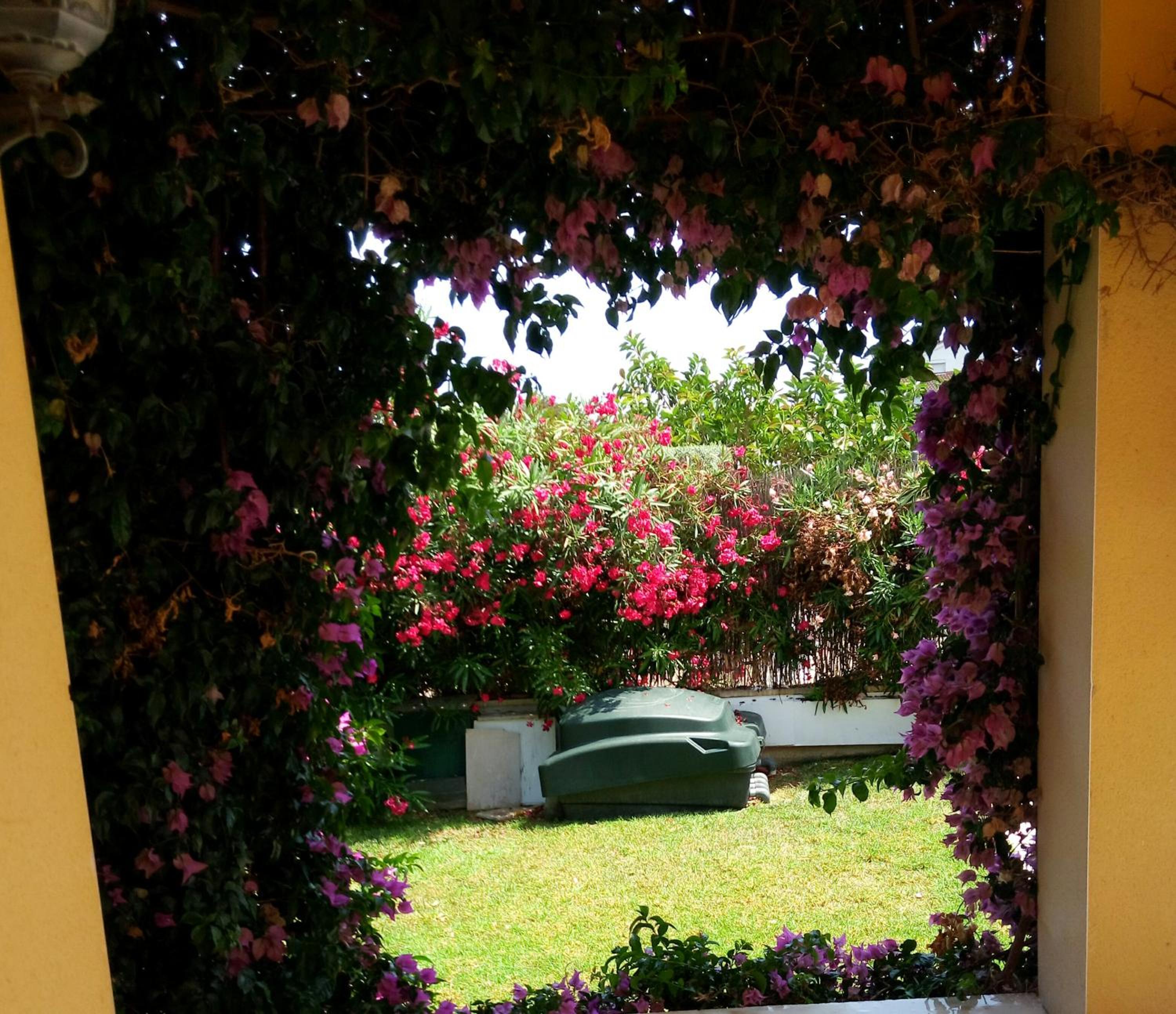 Photo 35