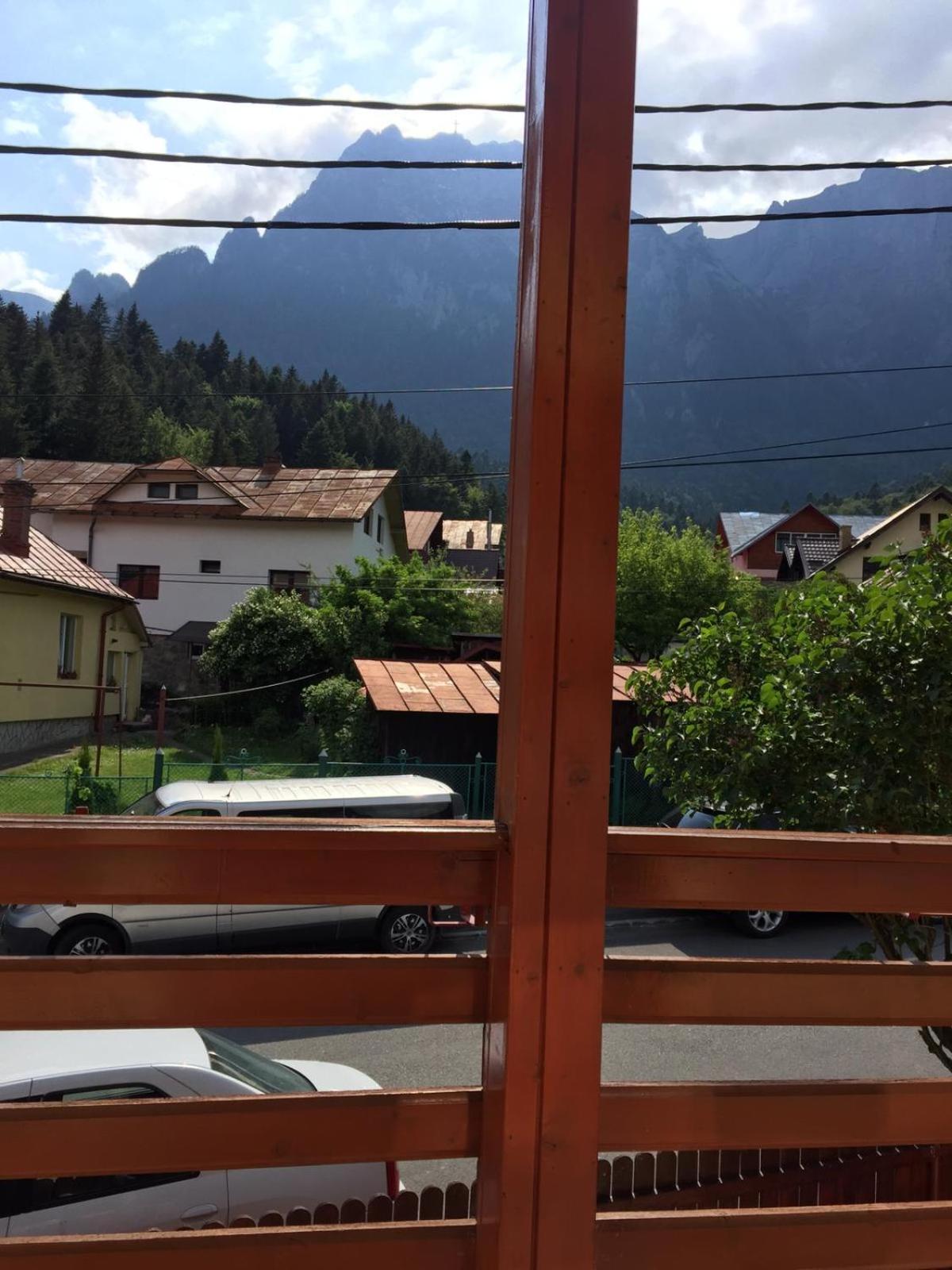 Casa Galbena Busteni view 3