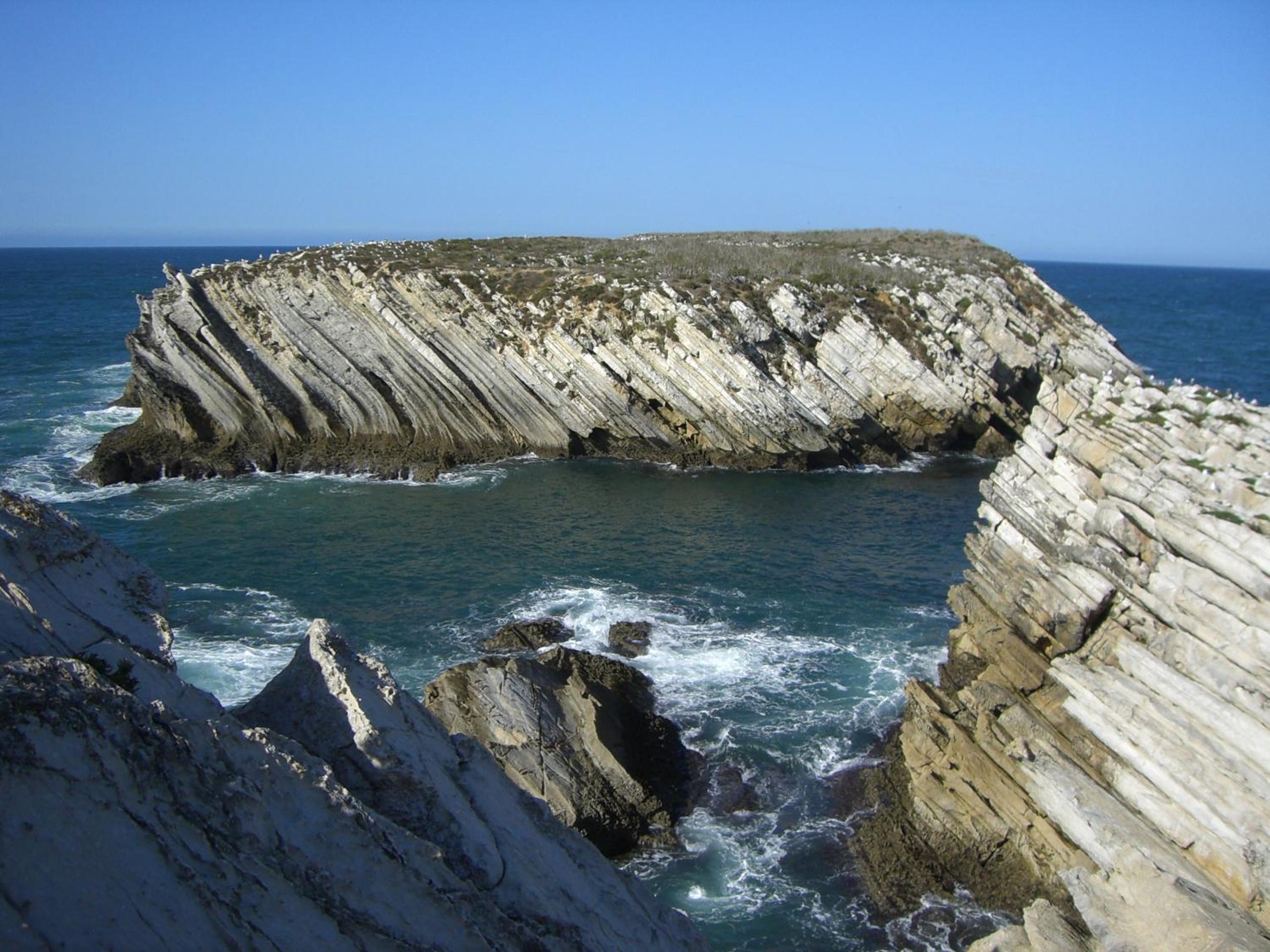 Photo 40