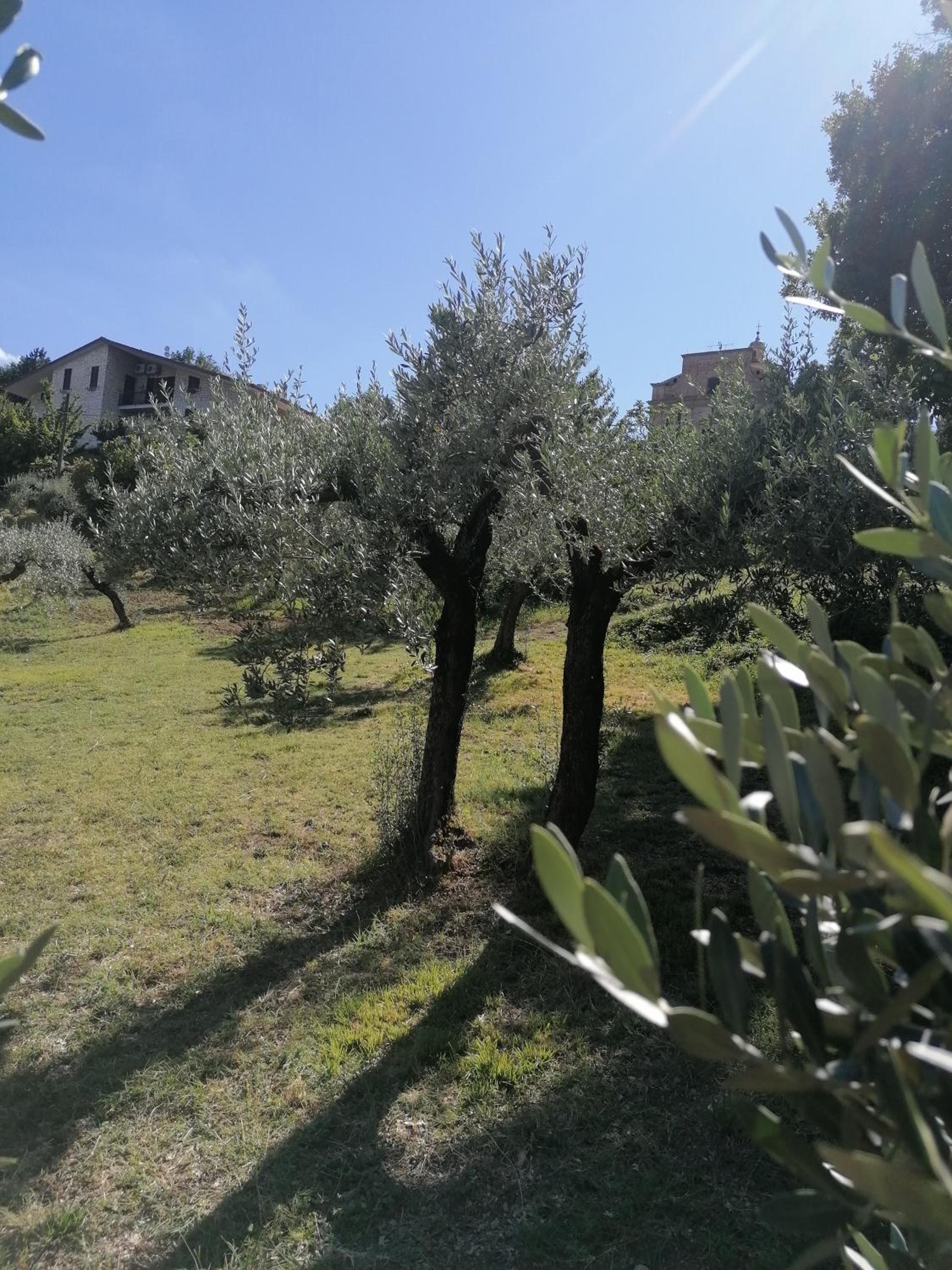 Agriturismo Etico Le Grazie view 3