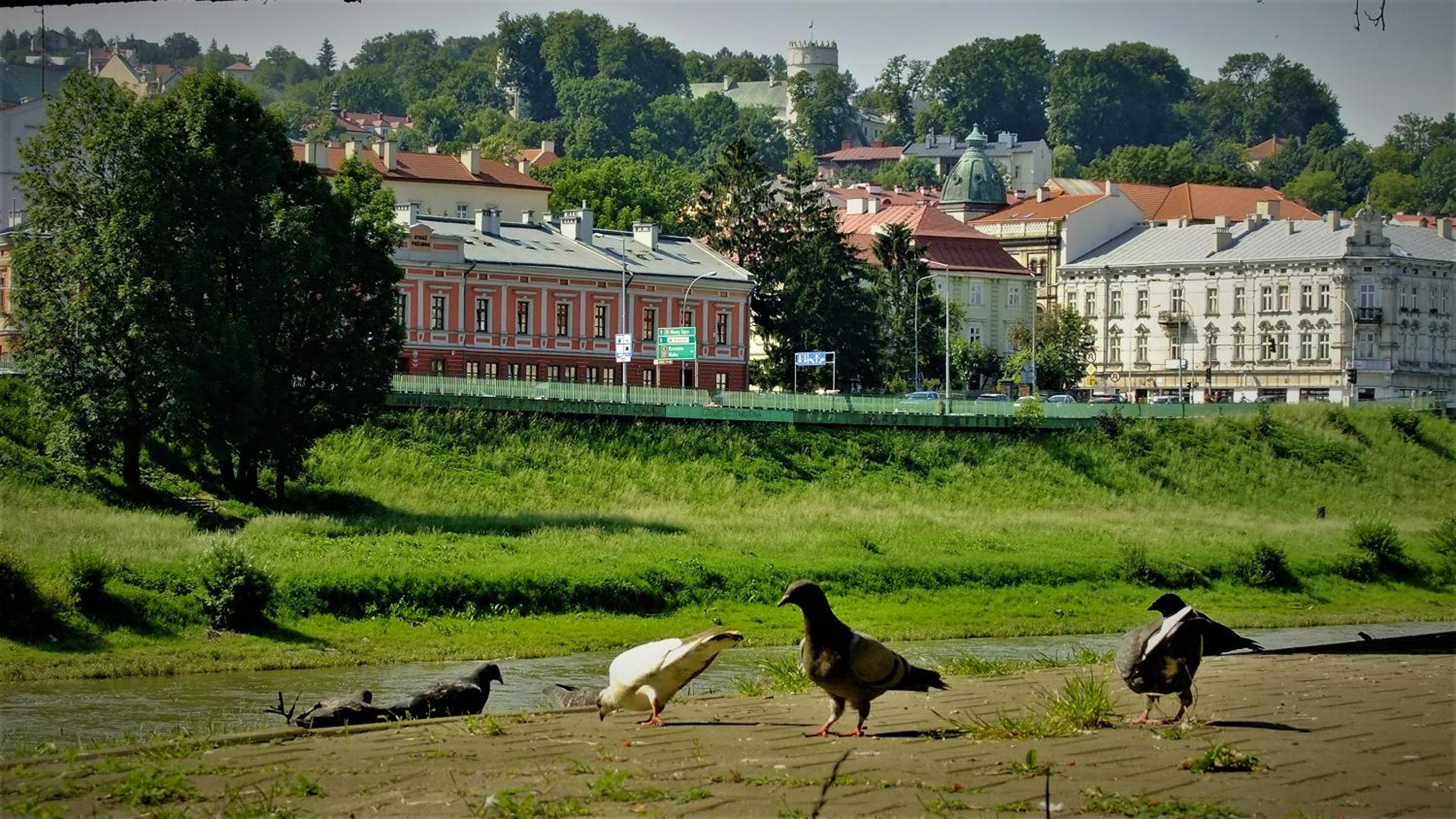 Klimatyczne Kresowe Noclegi, photo 64