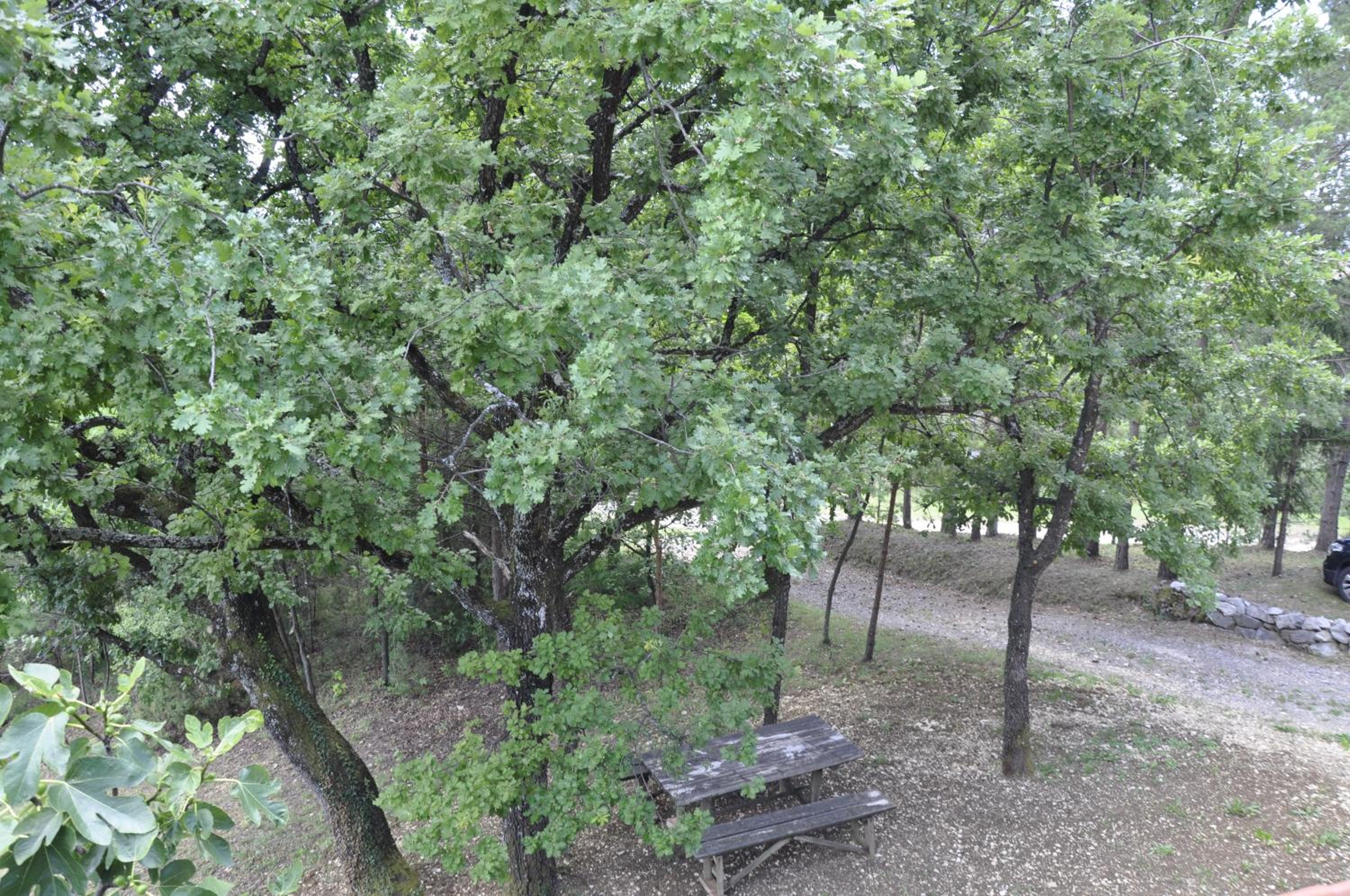 kuća za odmor Krašić view 5