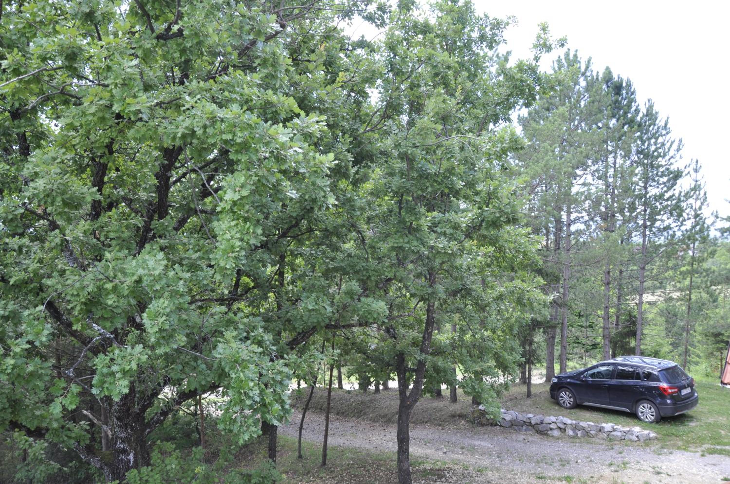 kuća za odmor Krašić view 4