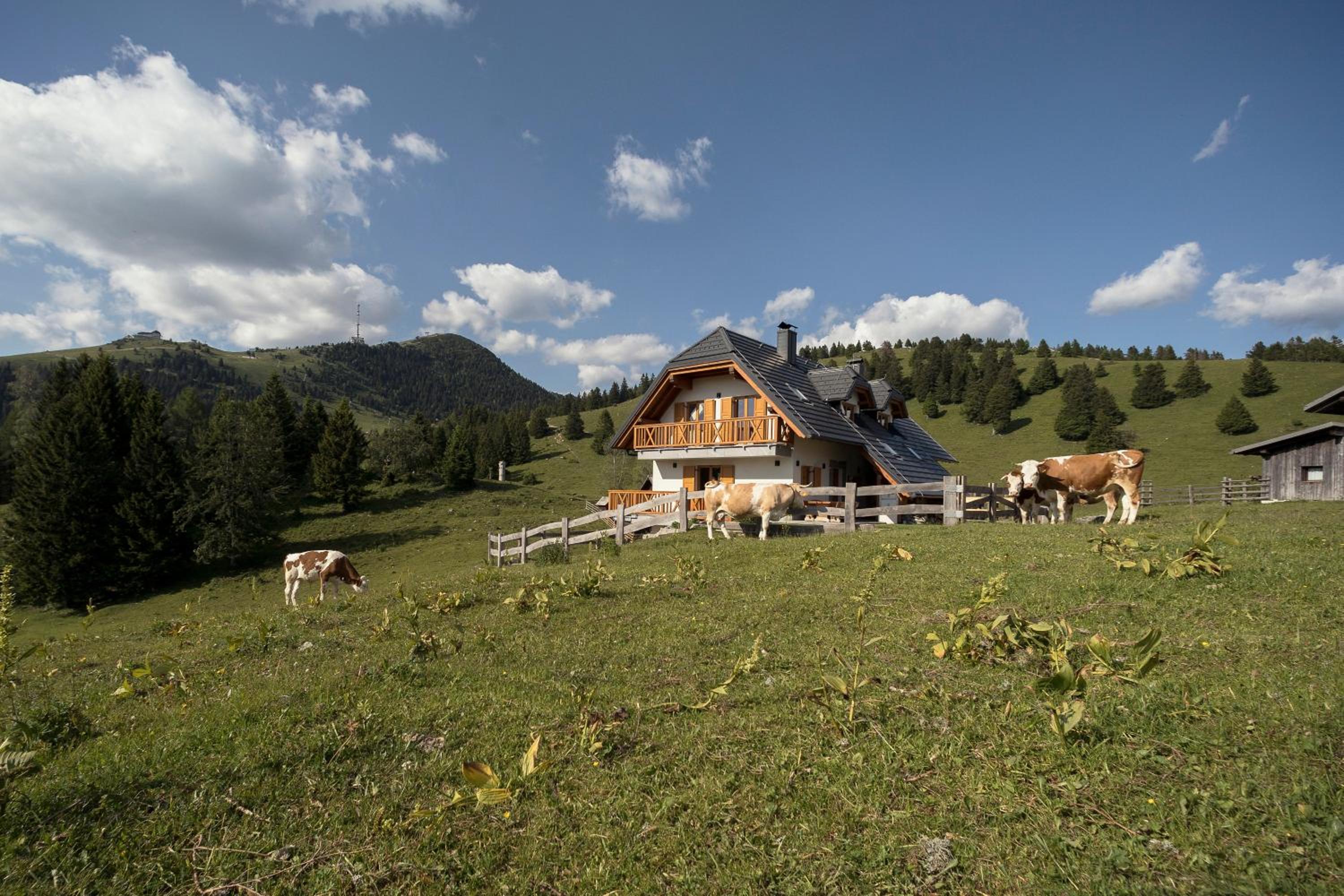 Apartment Jezerca - Krvavec view 4