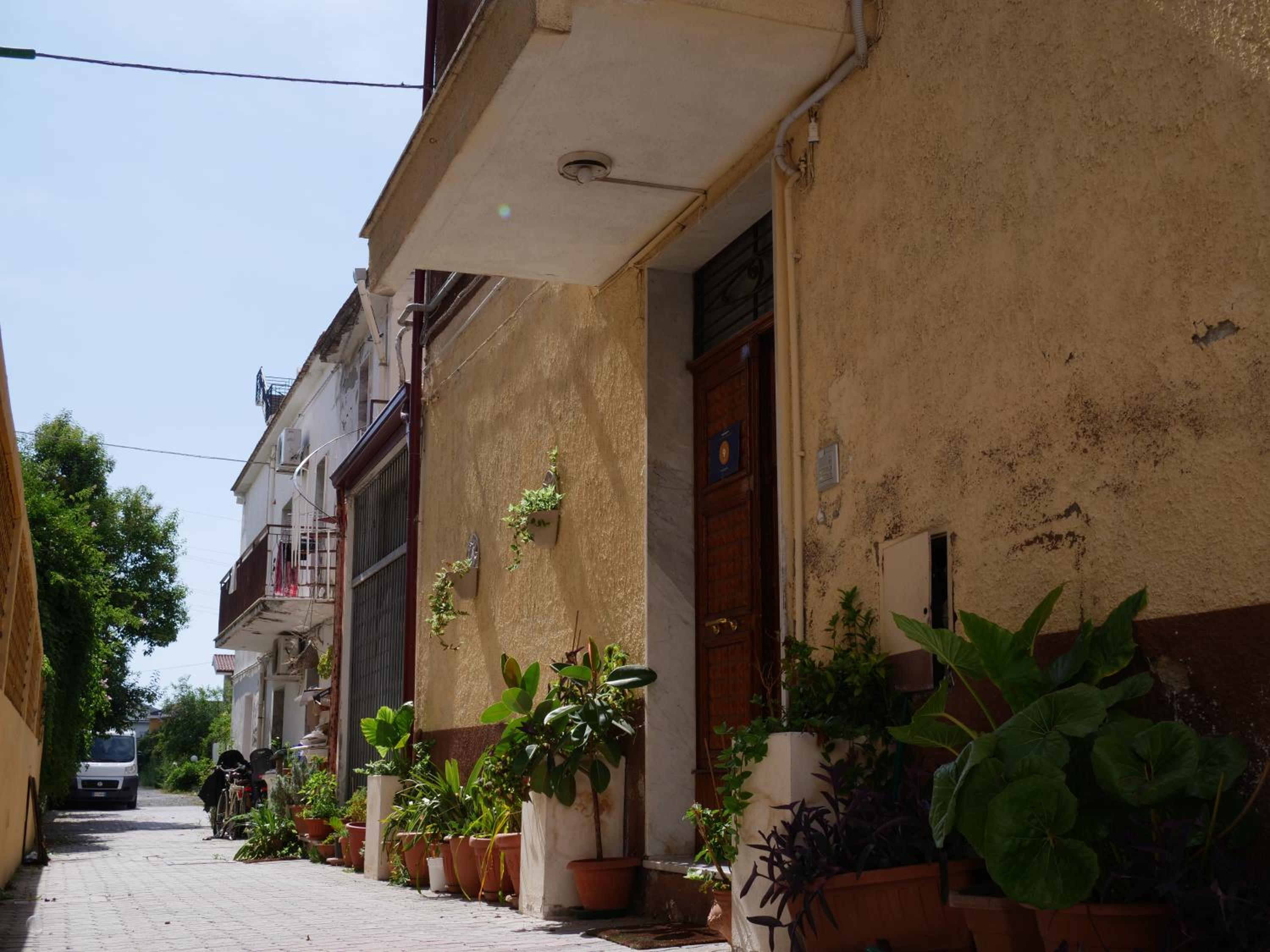 La spagnola