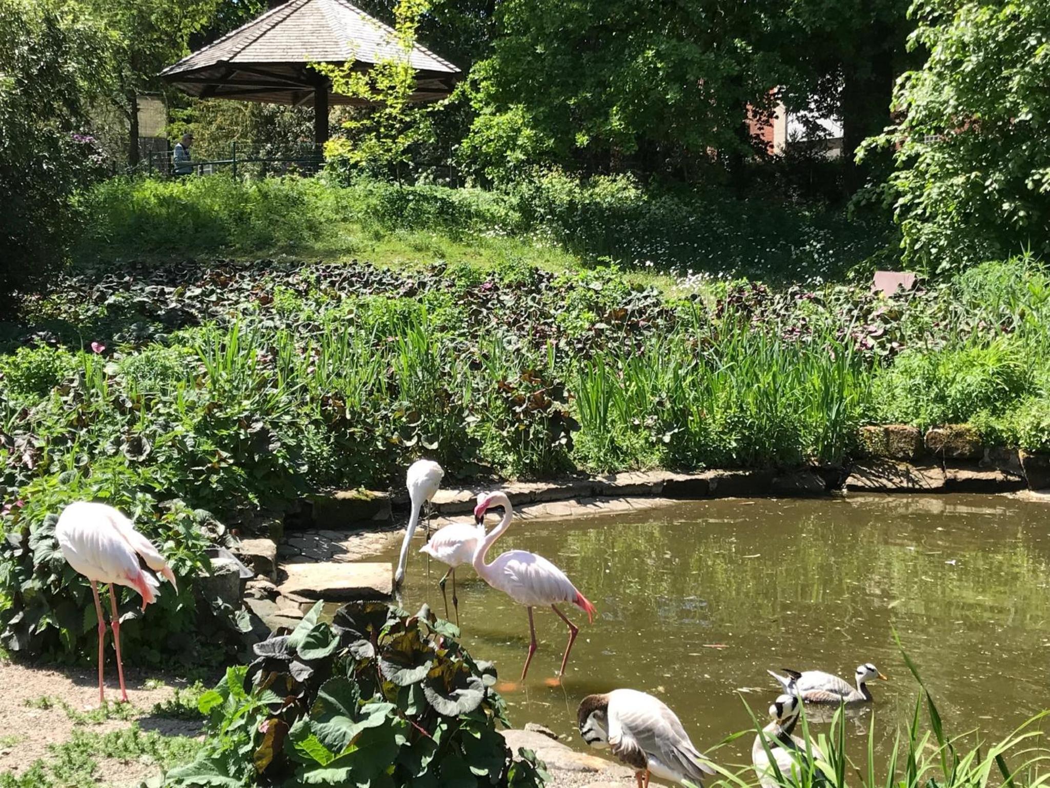 Ferienhaus am Park am Röhrensee