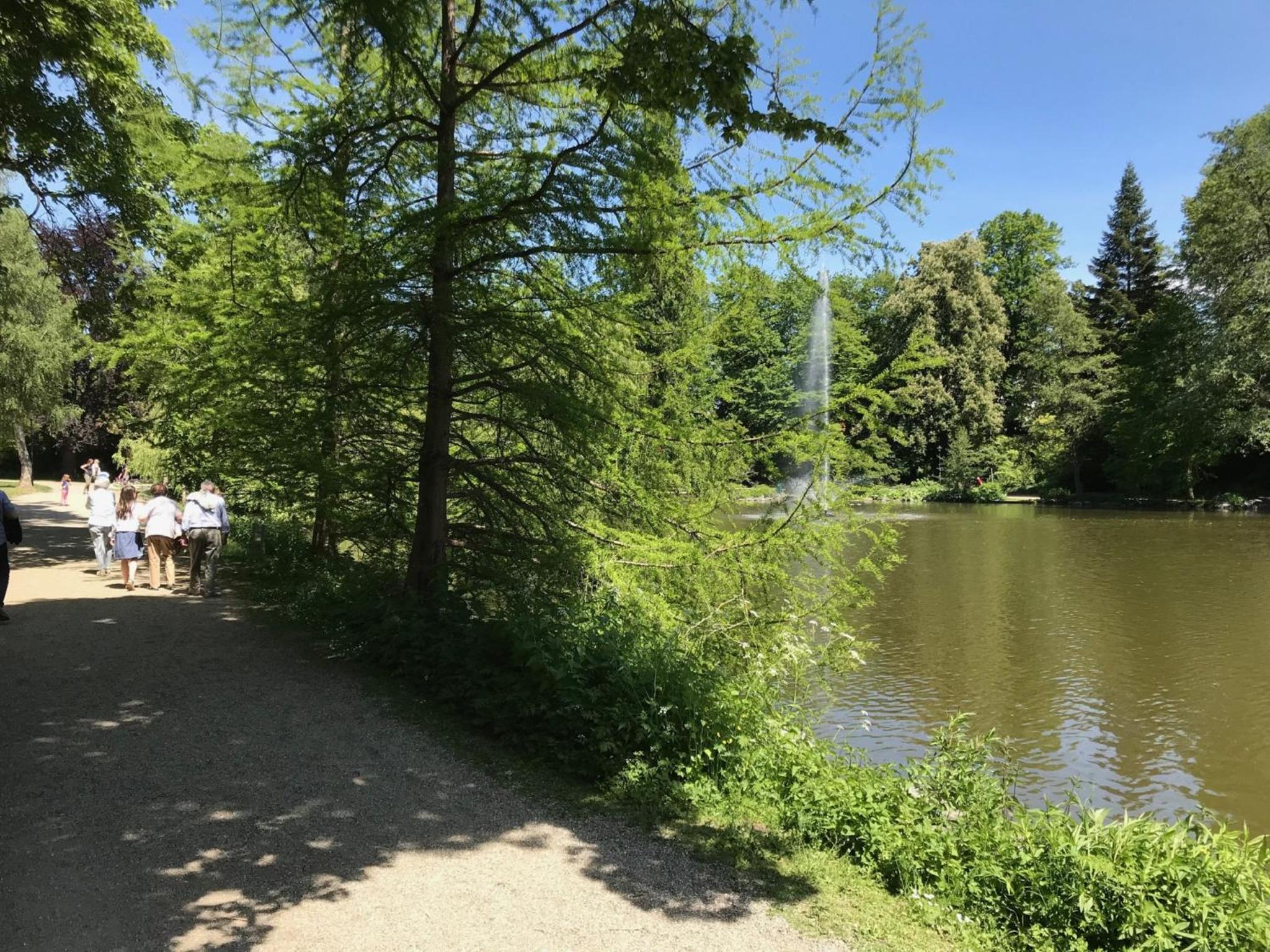 Ferienhaus am Park am Röhrensee