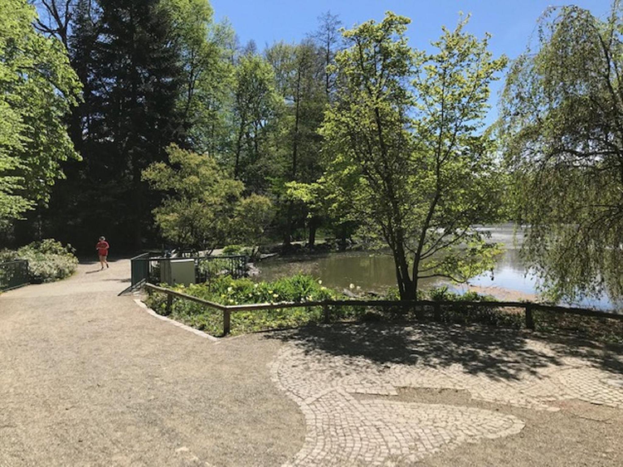 Ferienhaus am Park am Röhrensee