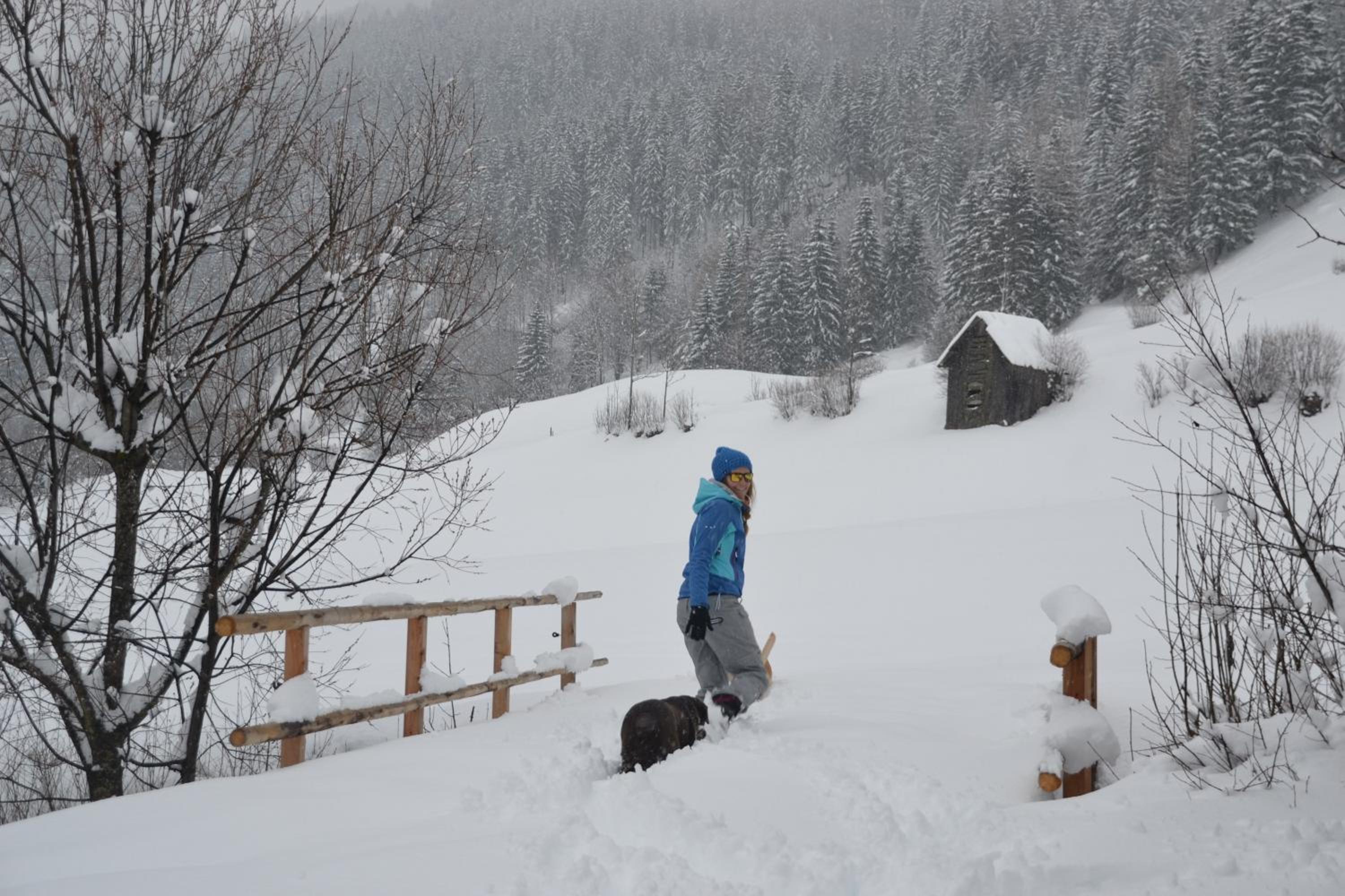 Bad Kleinkirchheim Bio Naturhof Ottingerhof