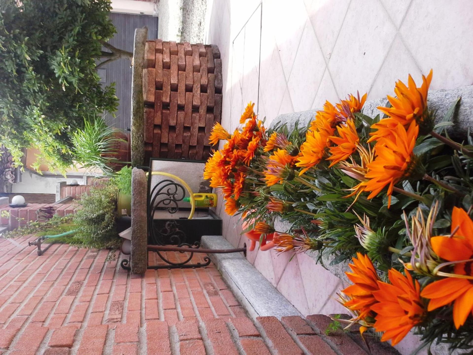 Bed&Breakfast La Siepe view 4