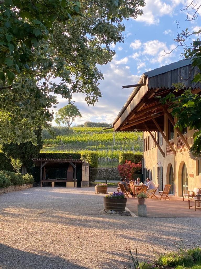 Domus Cariana - Image 2