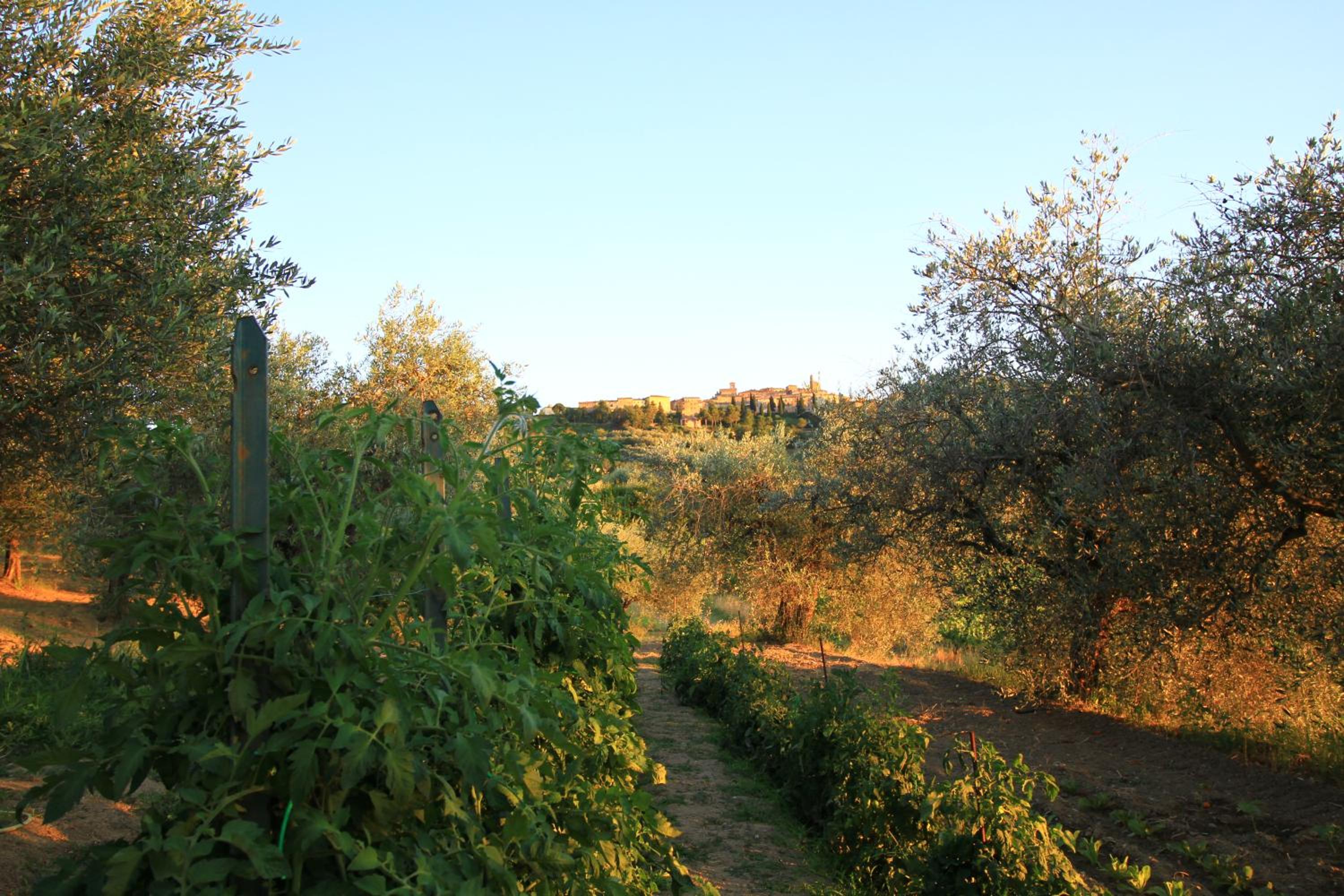 Casolare Marconi en Panicale