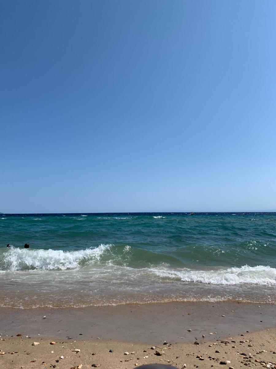 Photo 44