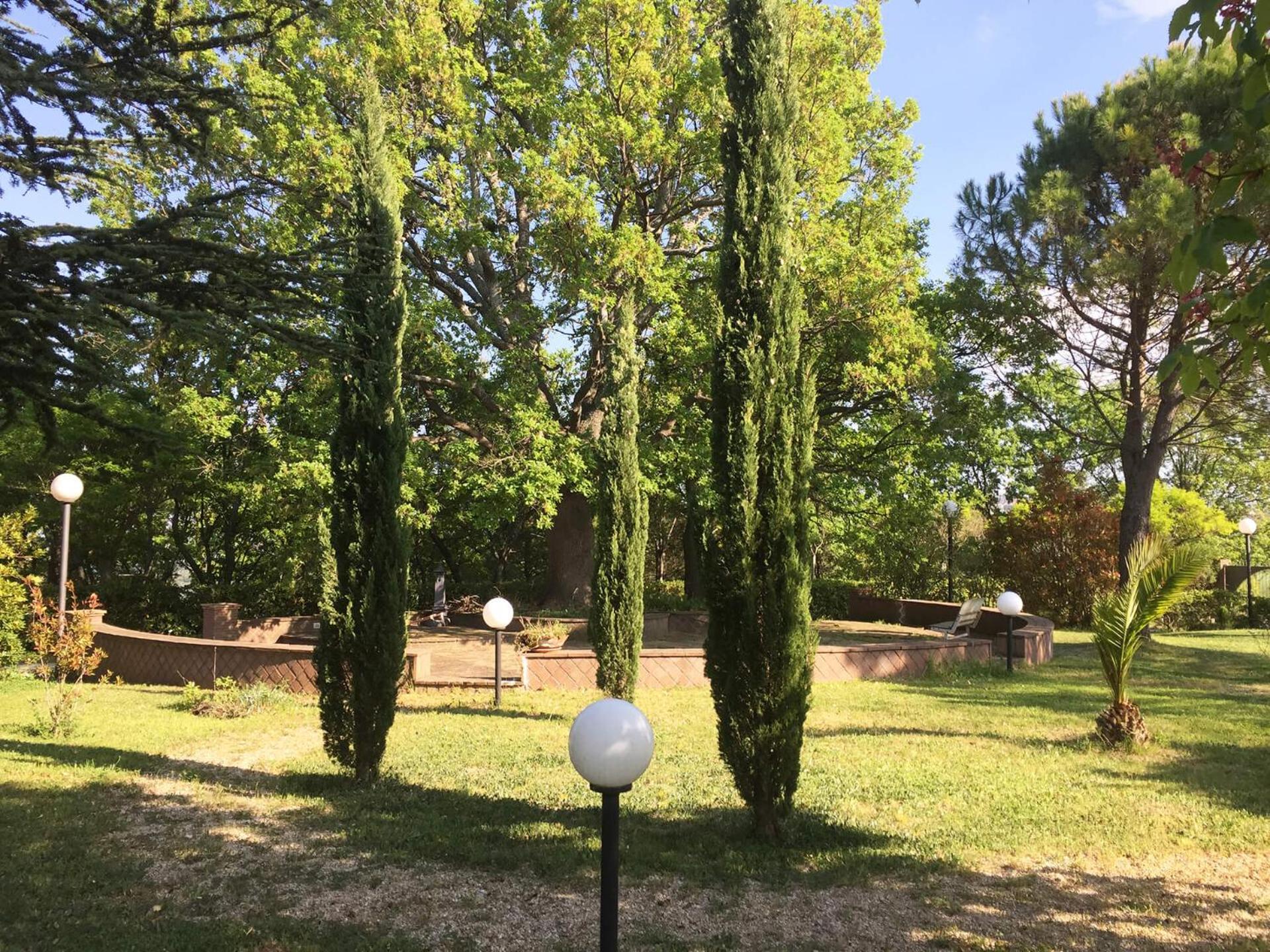 Photo 29