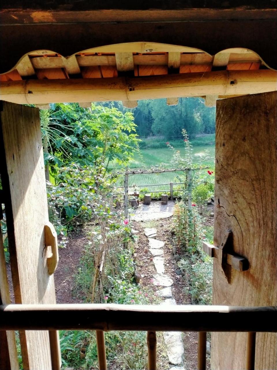 Photo 14