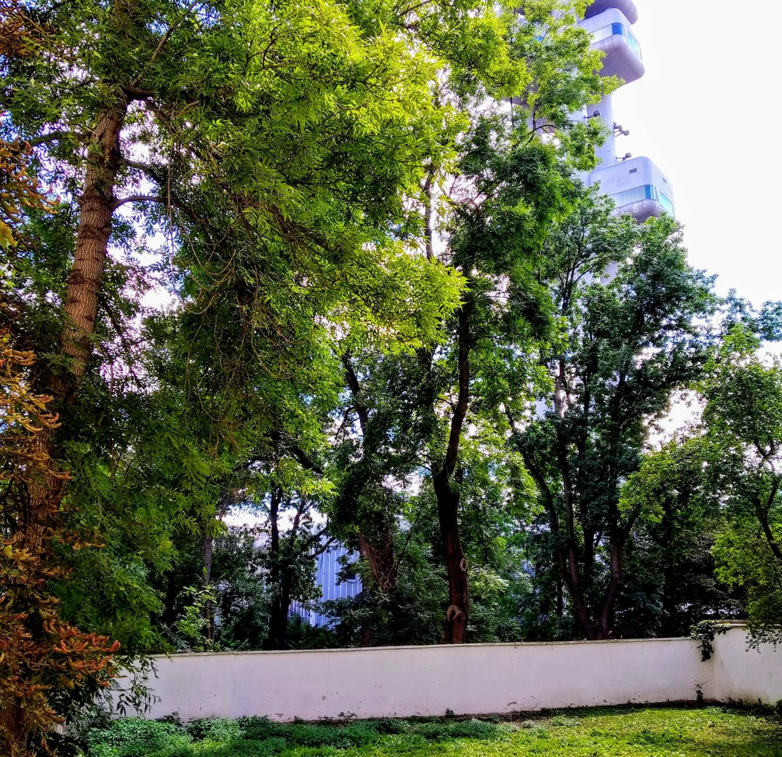 Apartment Sense of Zizkov