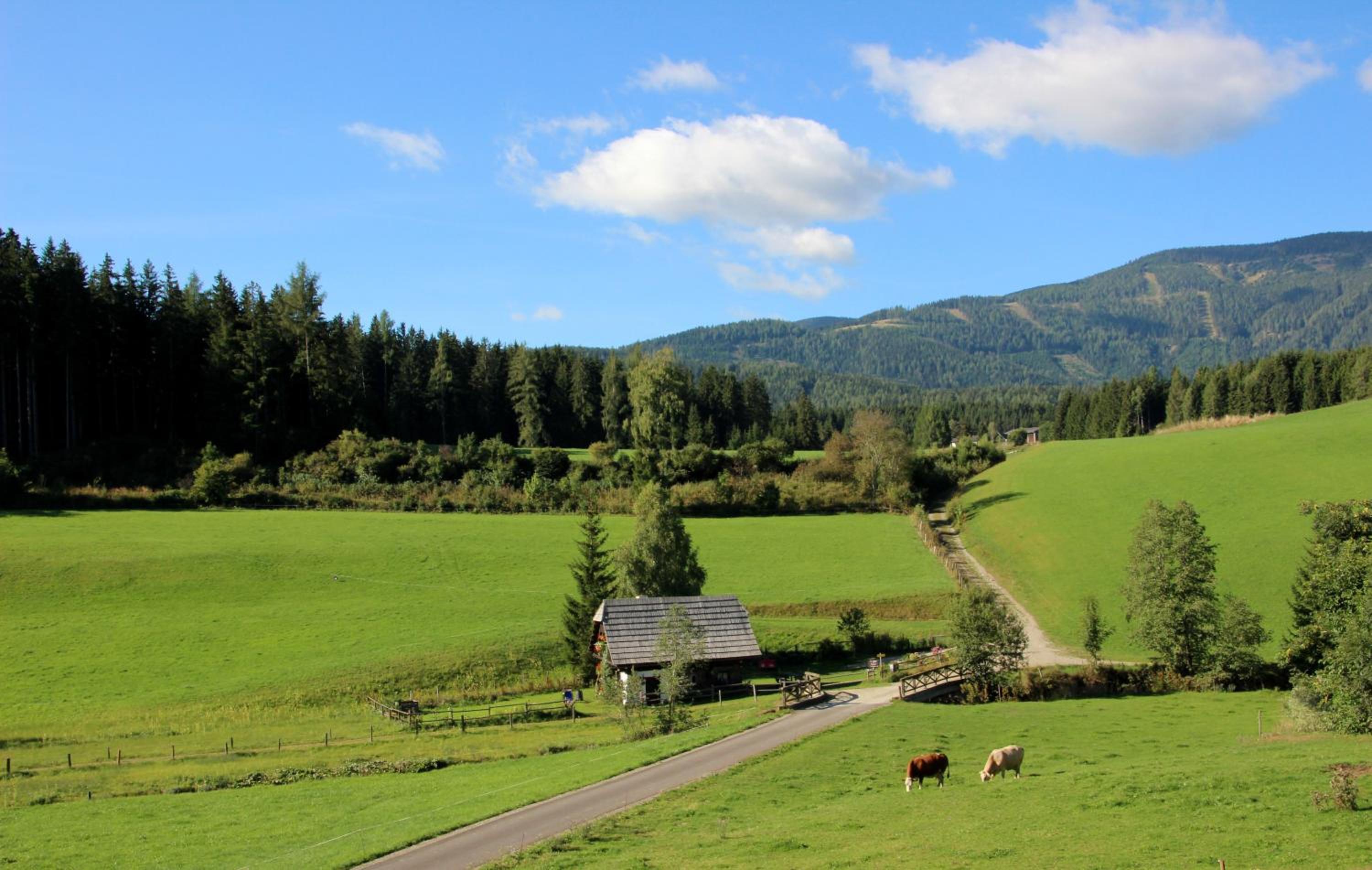 Urlaub am Bio-Bauernhof Liebchen