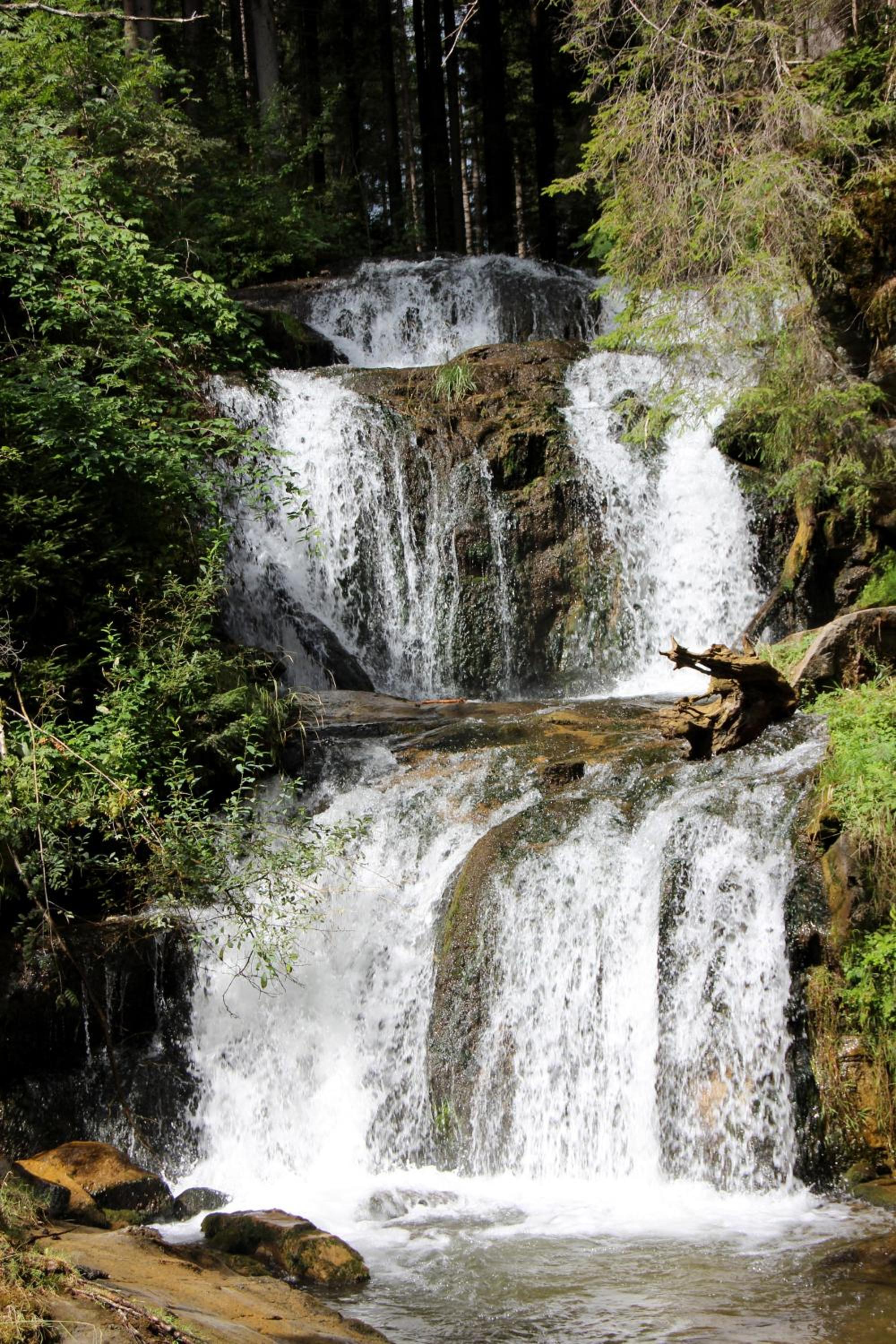 Urlaub am Bio-Bauernhof Liebchen