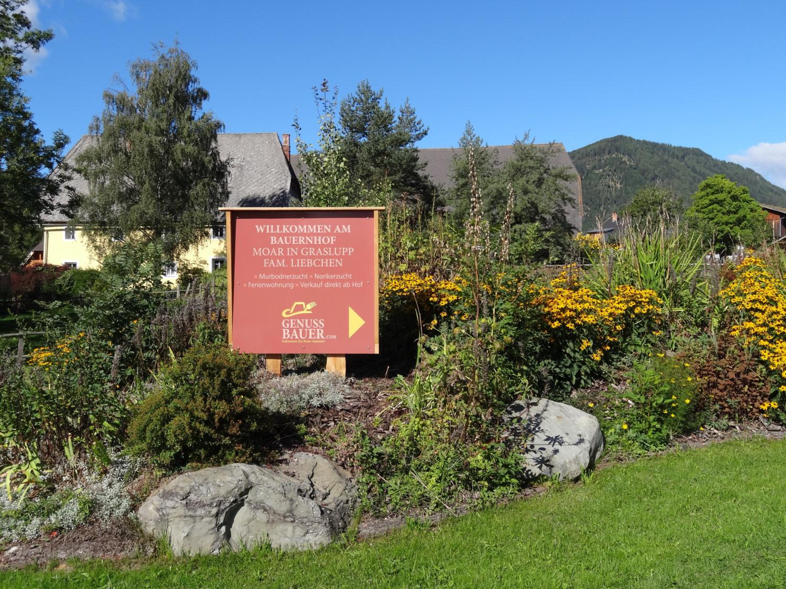 Urlaub am Bio-Bauernhof Liebchen