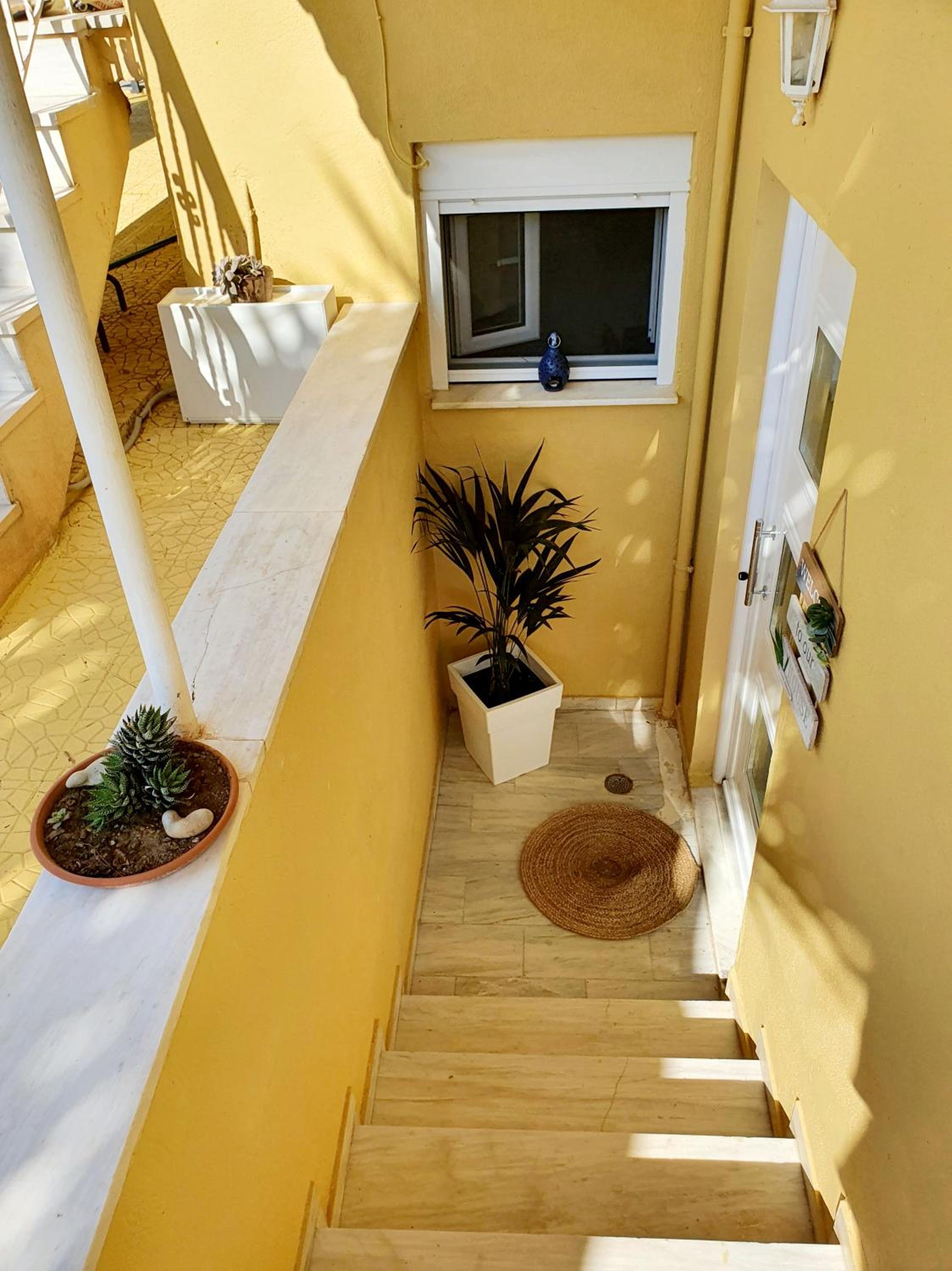 Pine trees apartment view 4