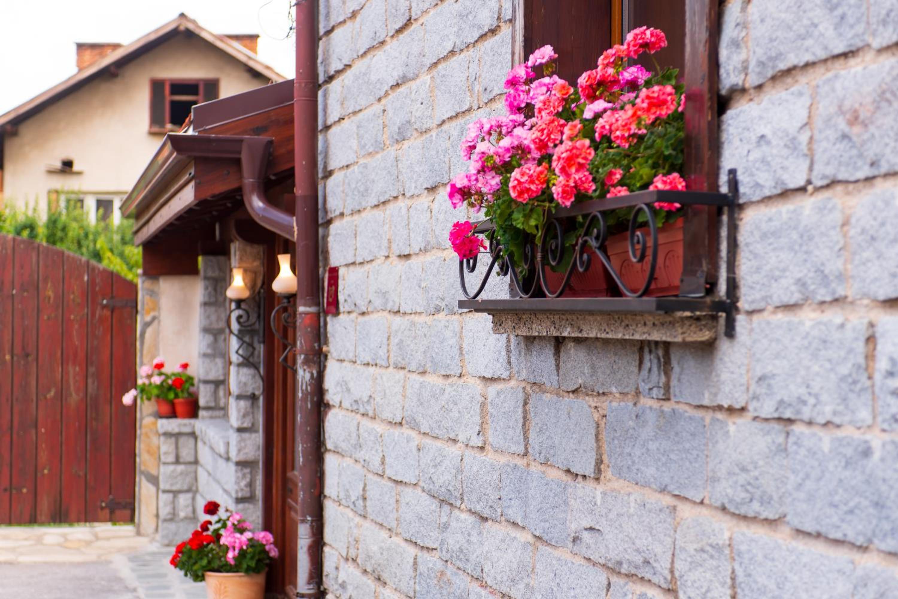 Grancharova Guest House