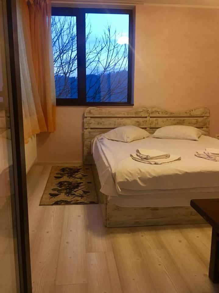 Pensiunea Lostrita view 2
