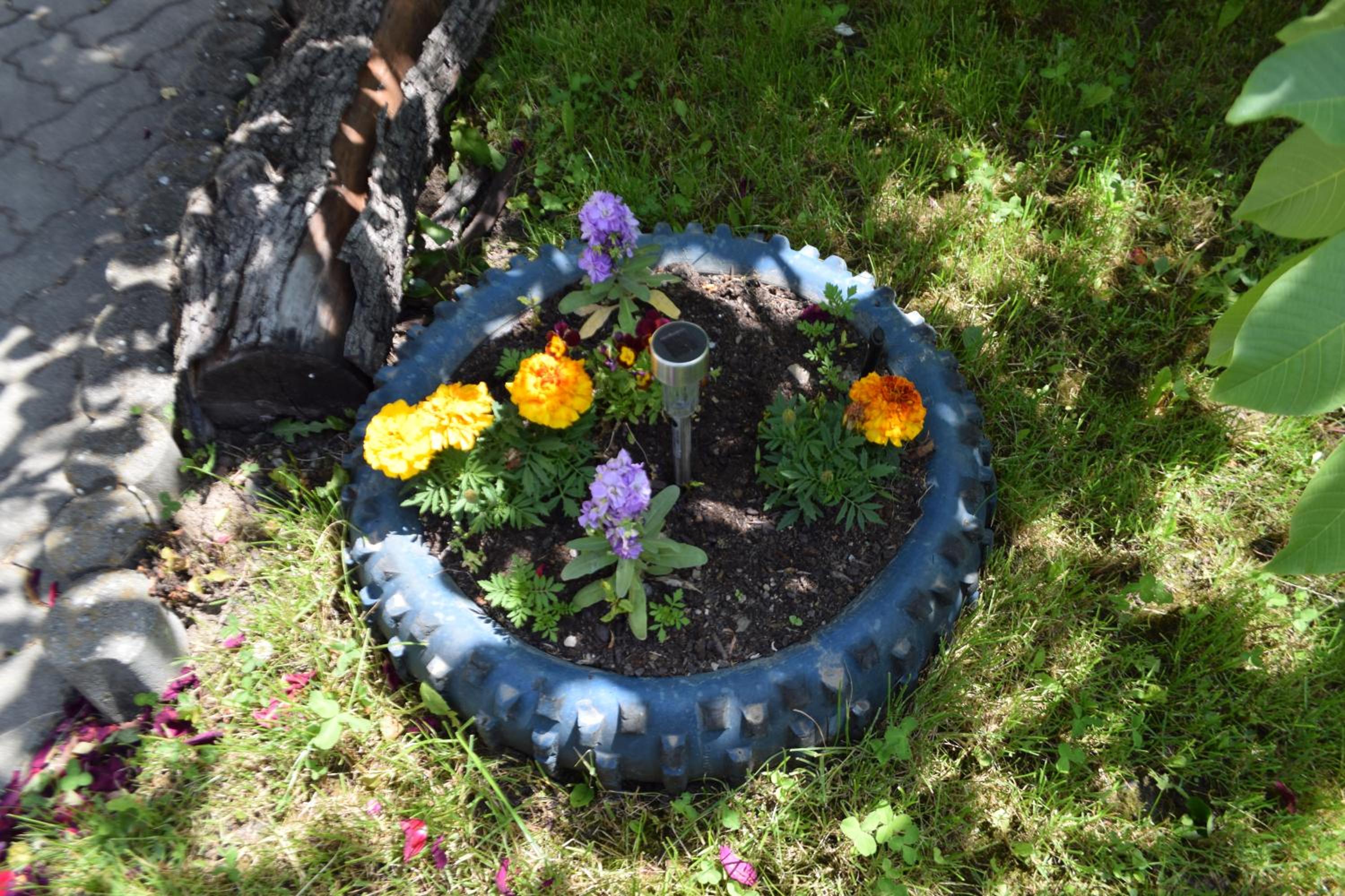 Photo 17