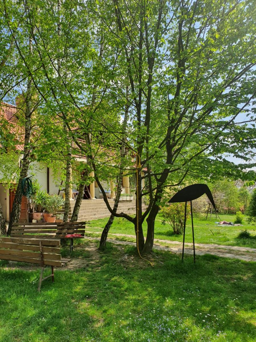 Photo 17