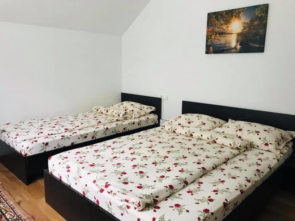 Casa de vacanta Dana
