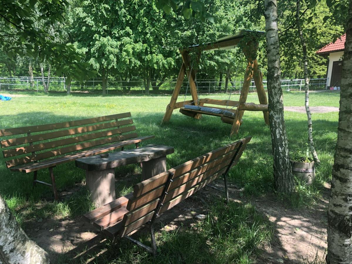 Photo 19