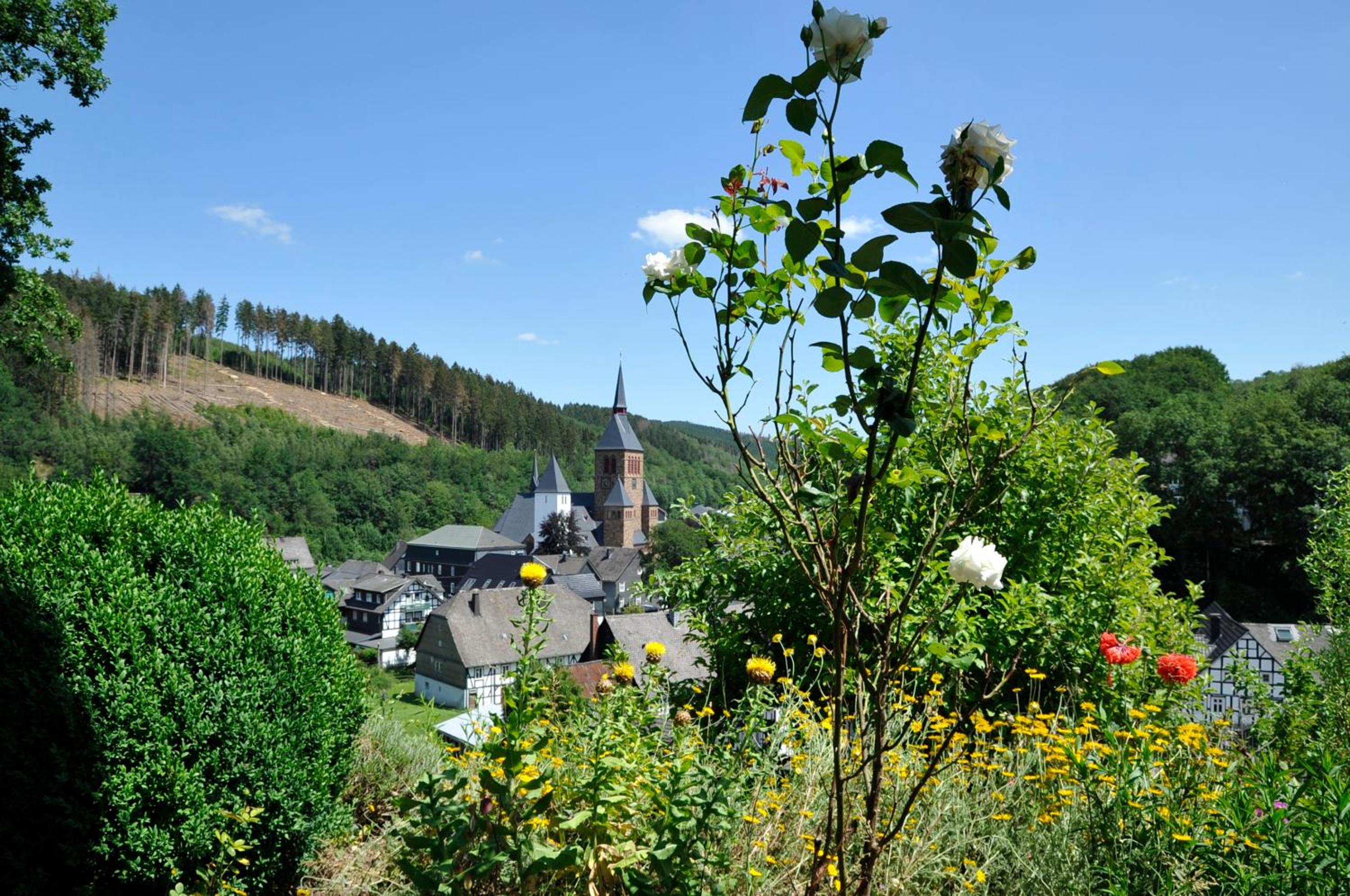 Rothaarsteig Ferienhaus