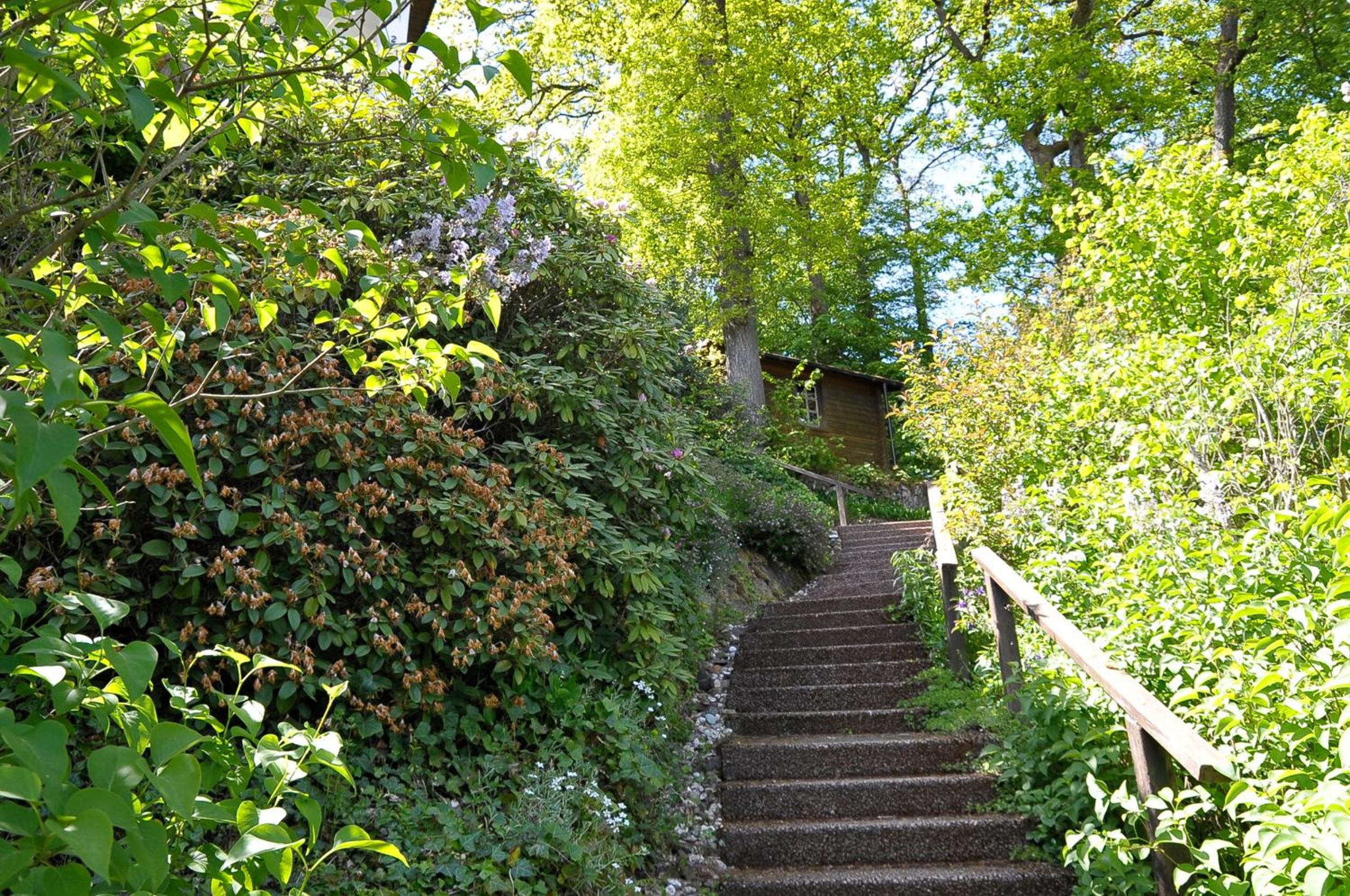 Rothaarsteig Ferienhaus