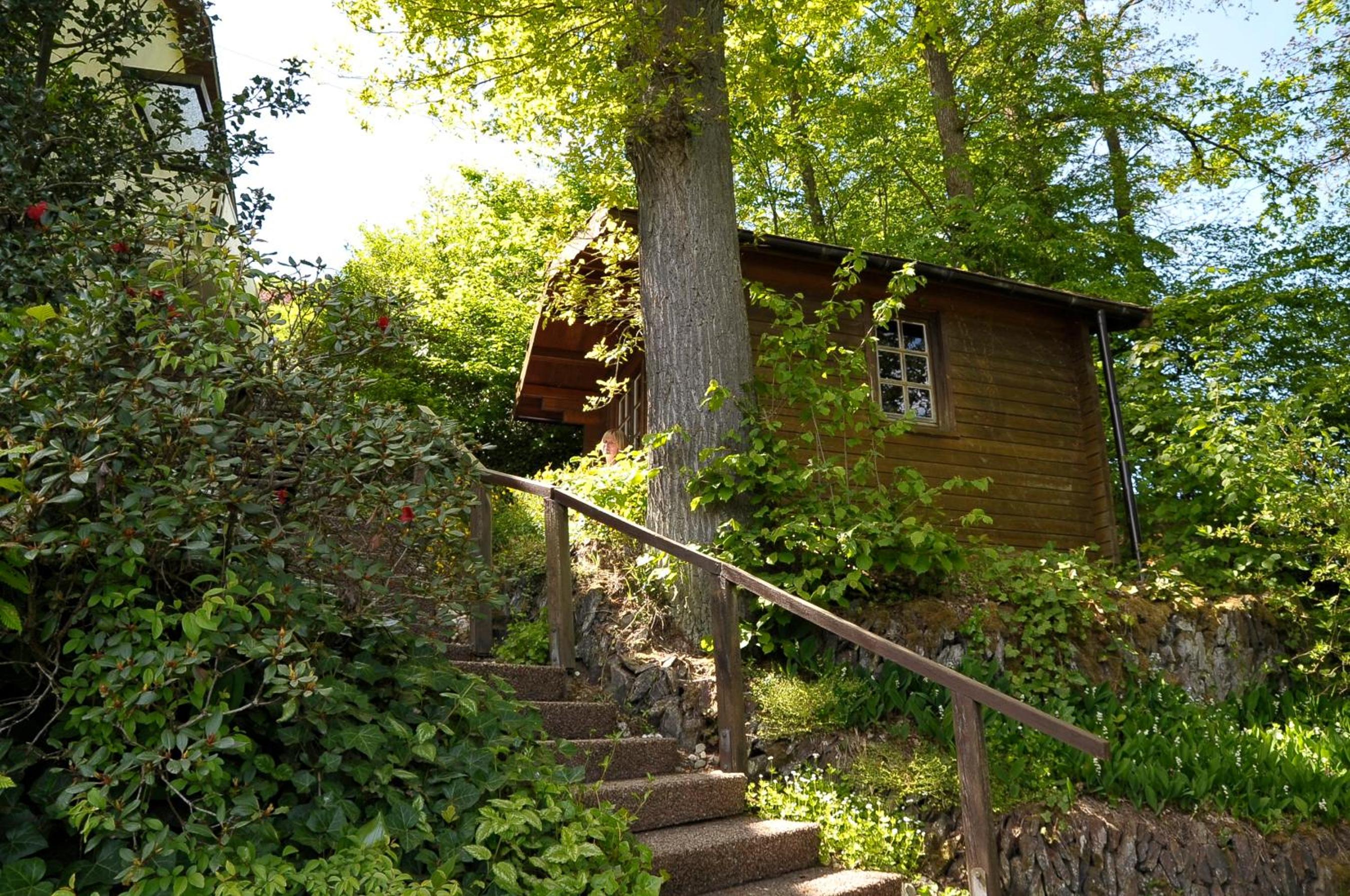Rothaarsteig Ferienhaus