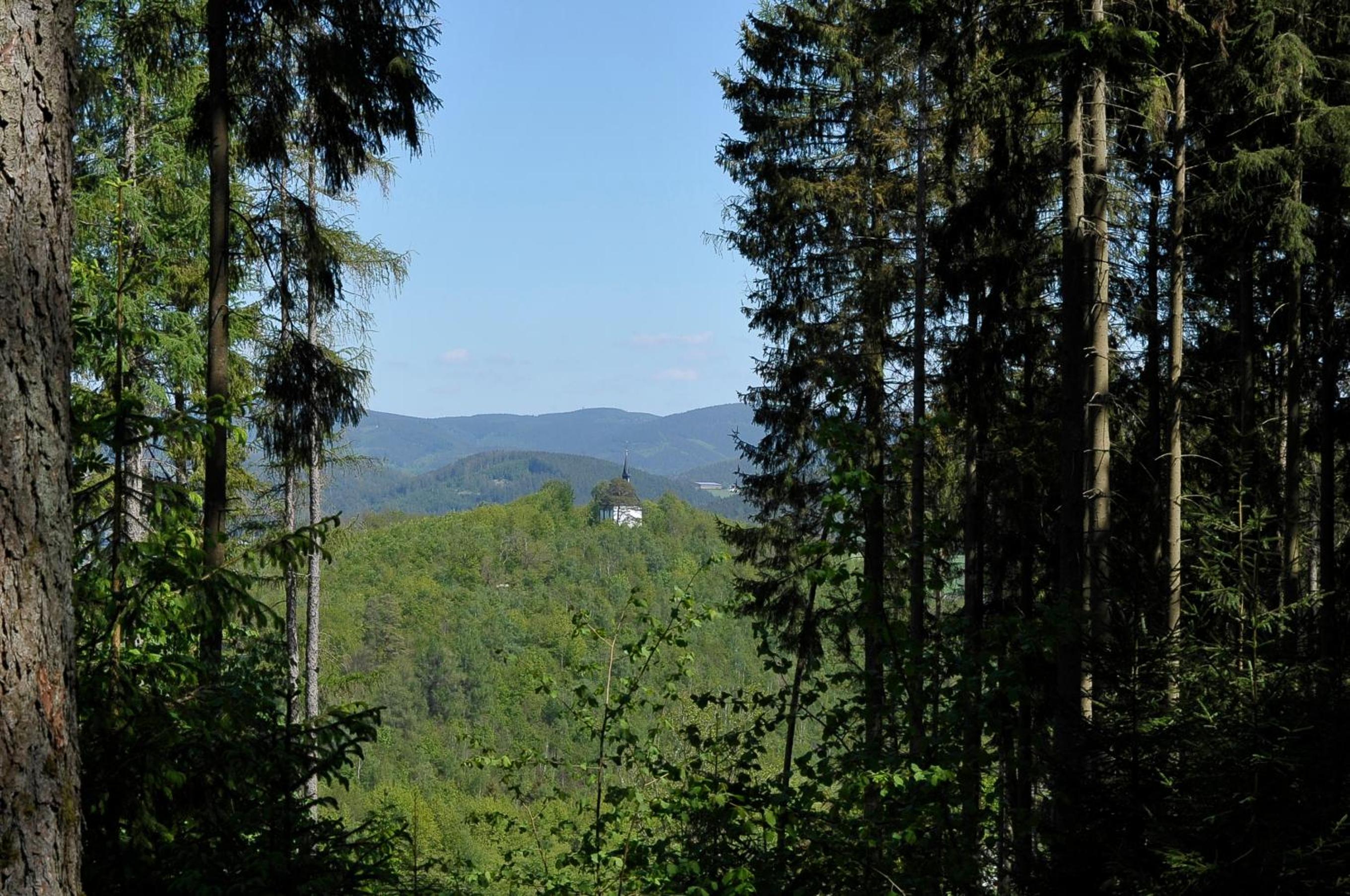 Rothaarsteig Ferienhaus