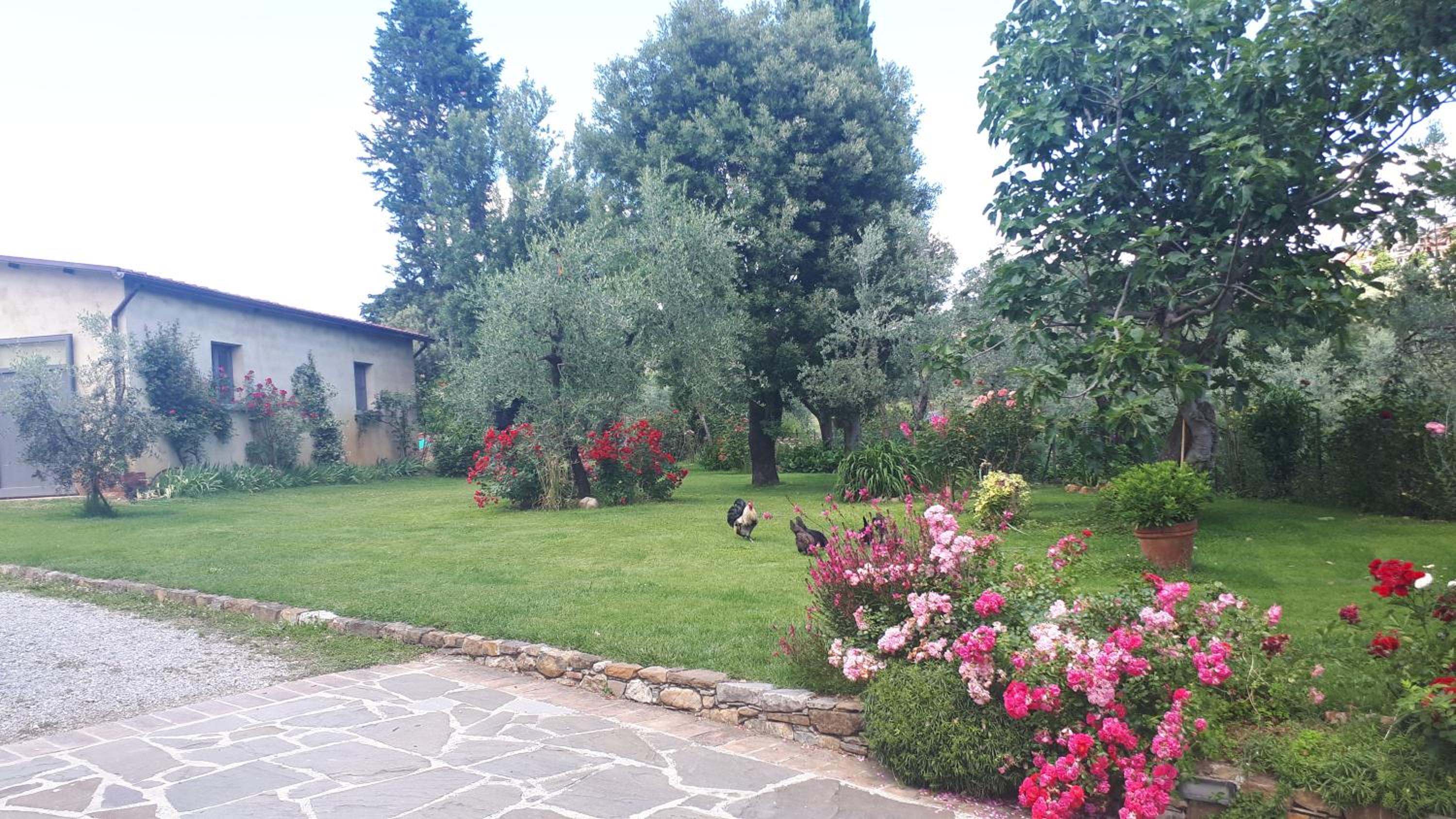 Photo 6