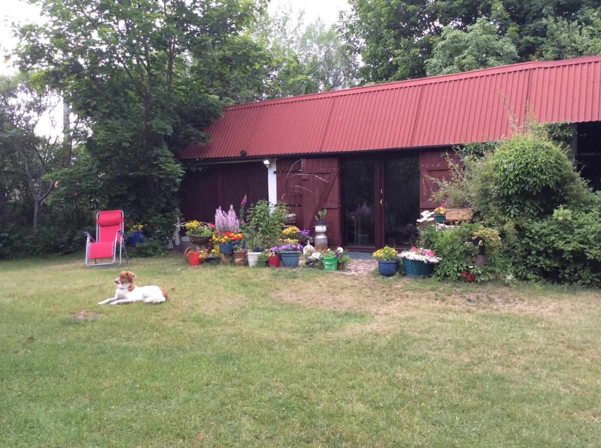 Photo 17